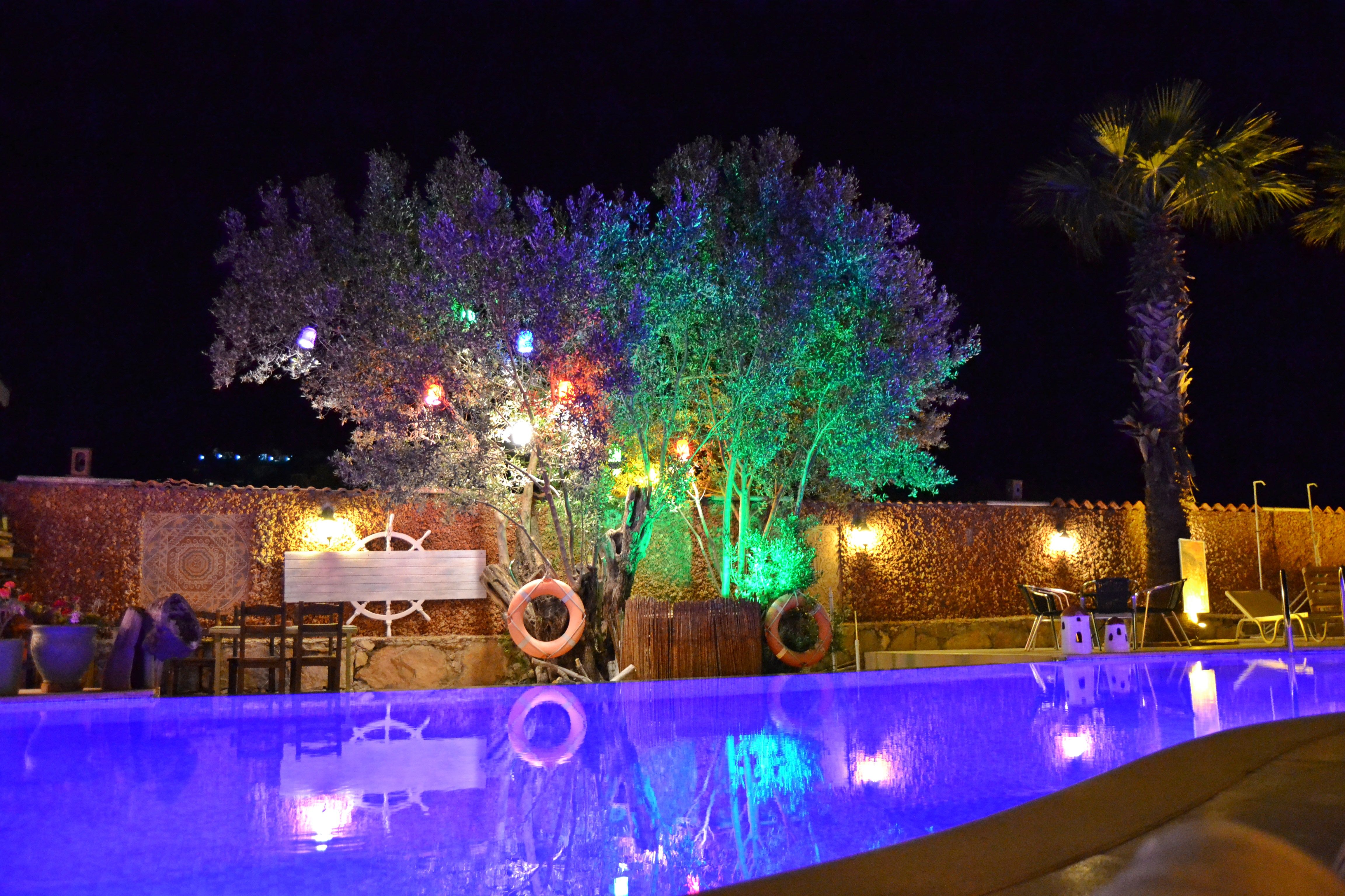 Piscina deschisă