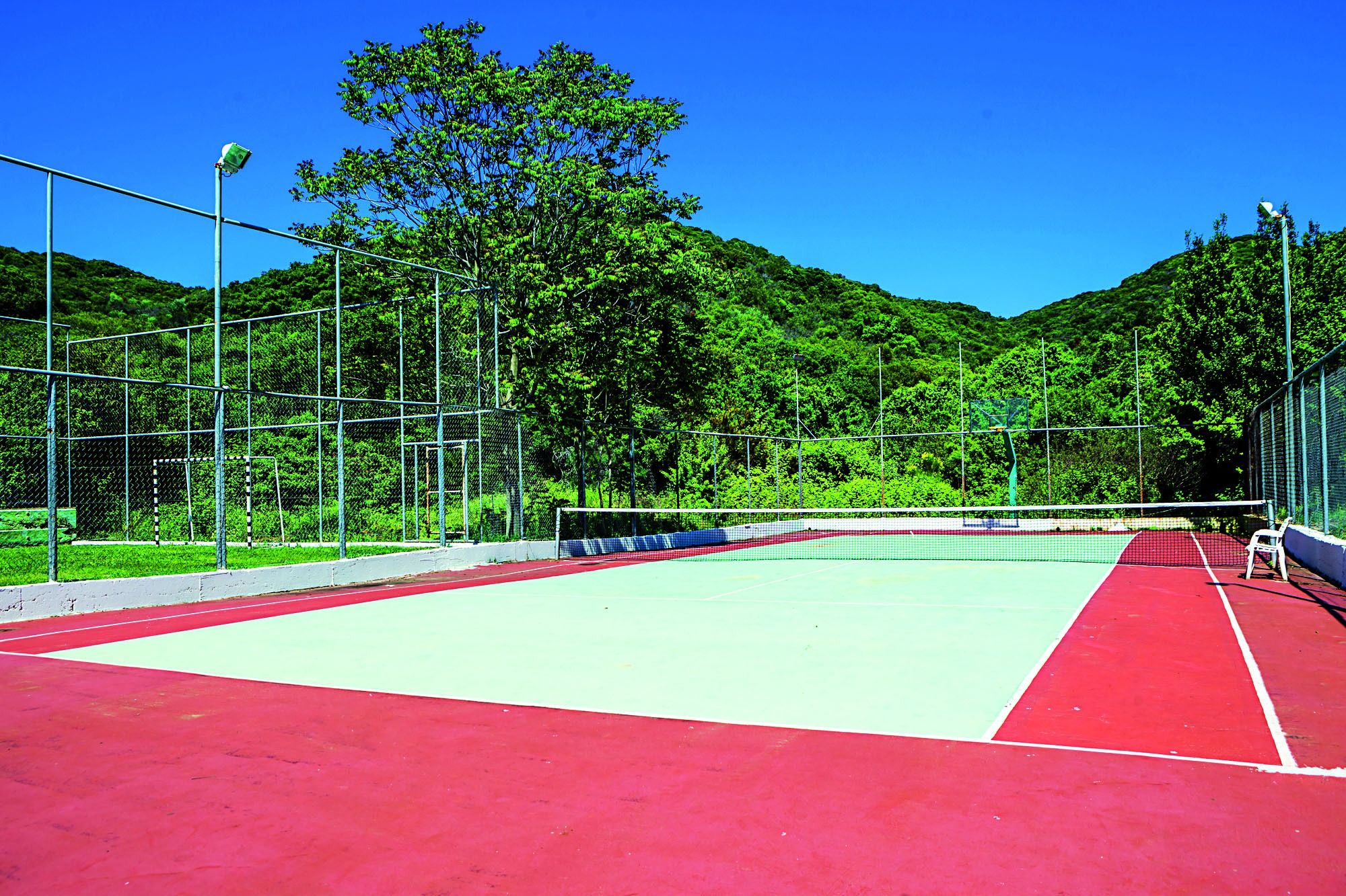 Sport