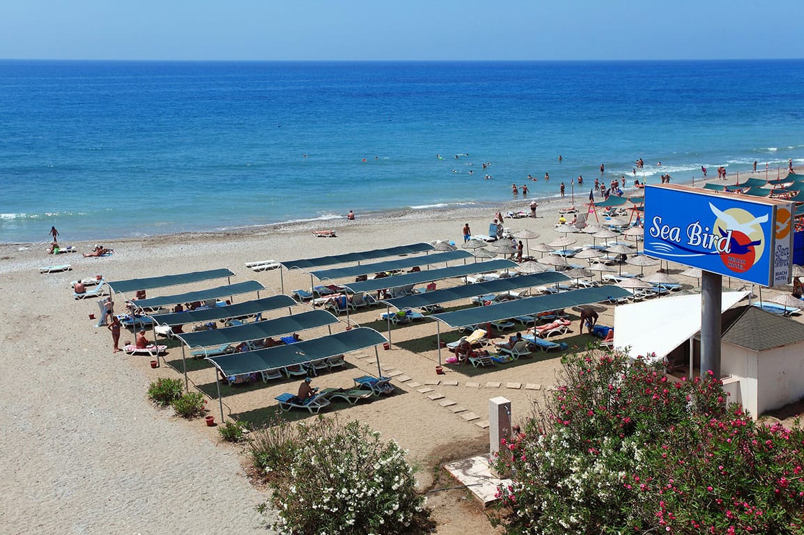Plajă 