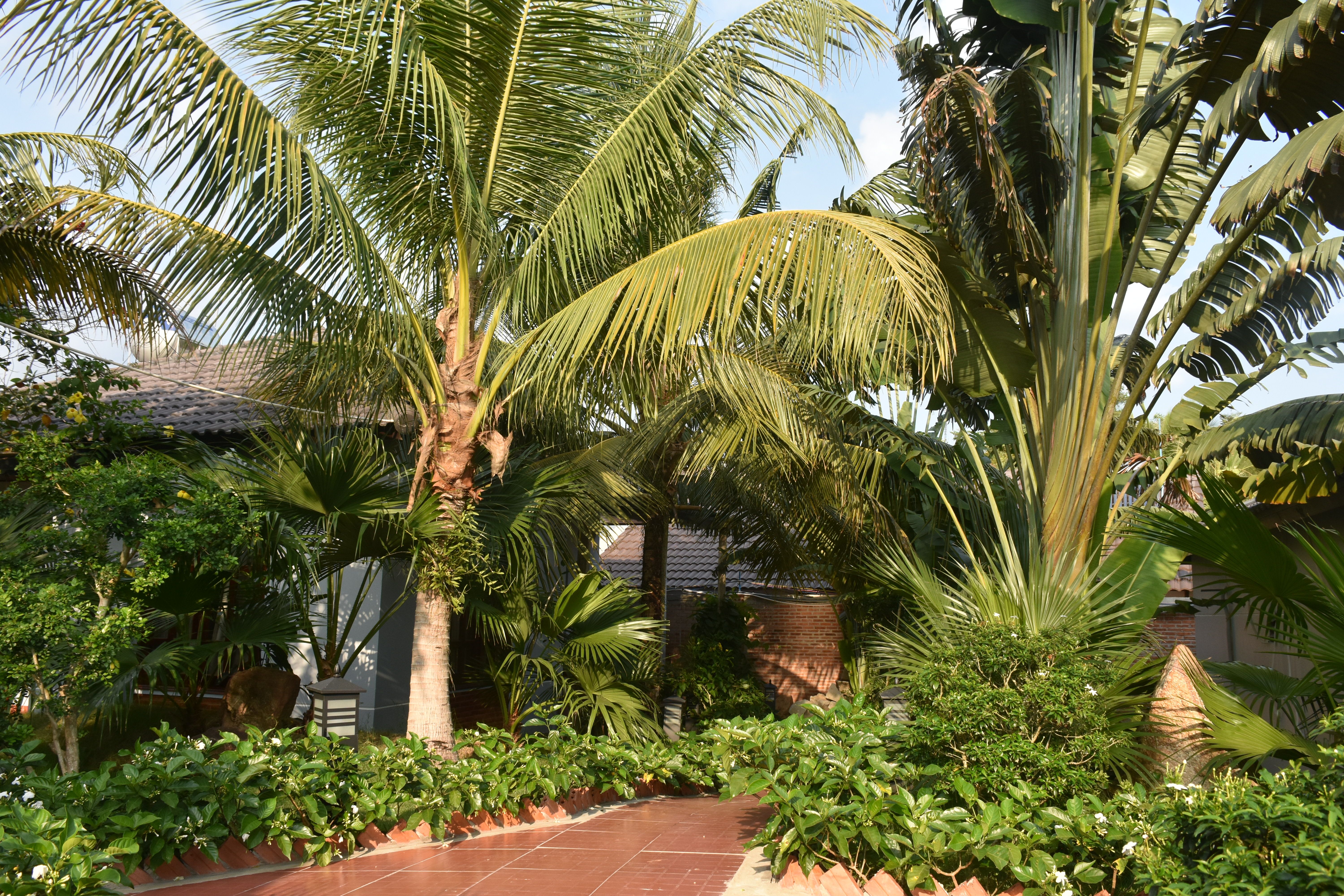 BUNGALOW GARDEN VIEW 