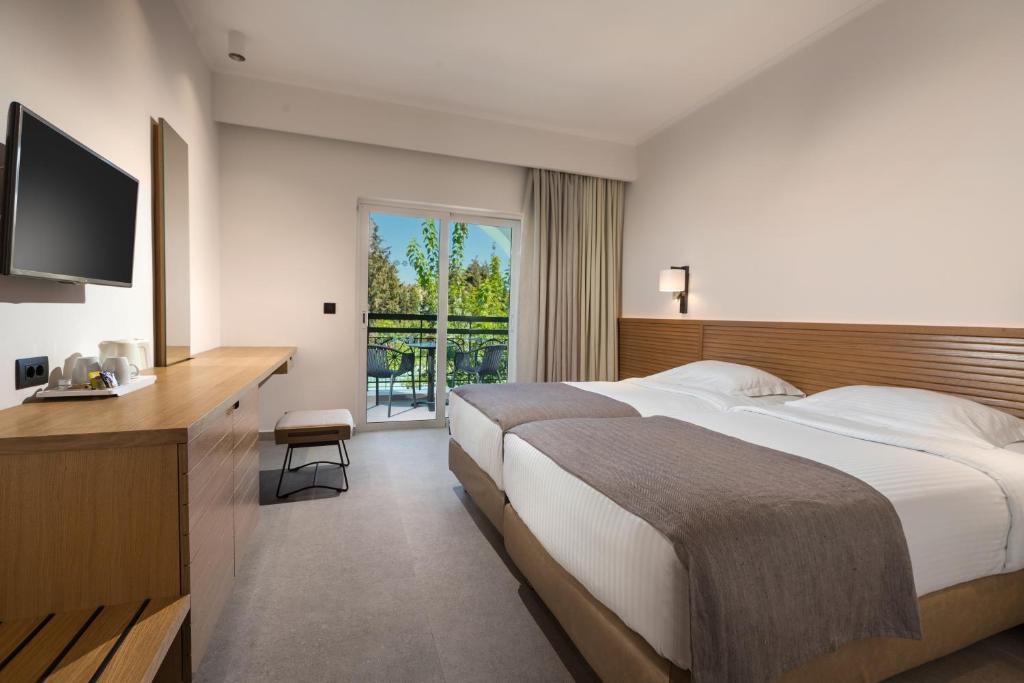 Room Premium Single Use Balcony or Terrace