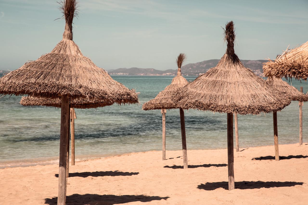 Plajă 