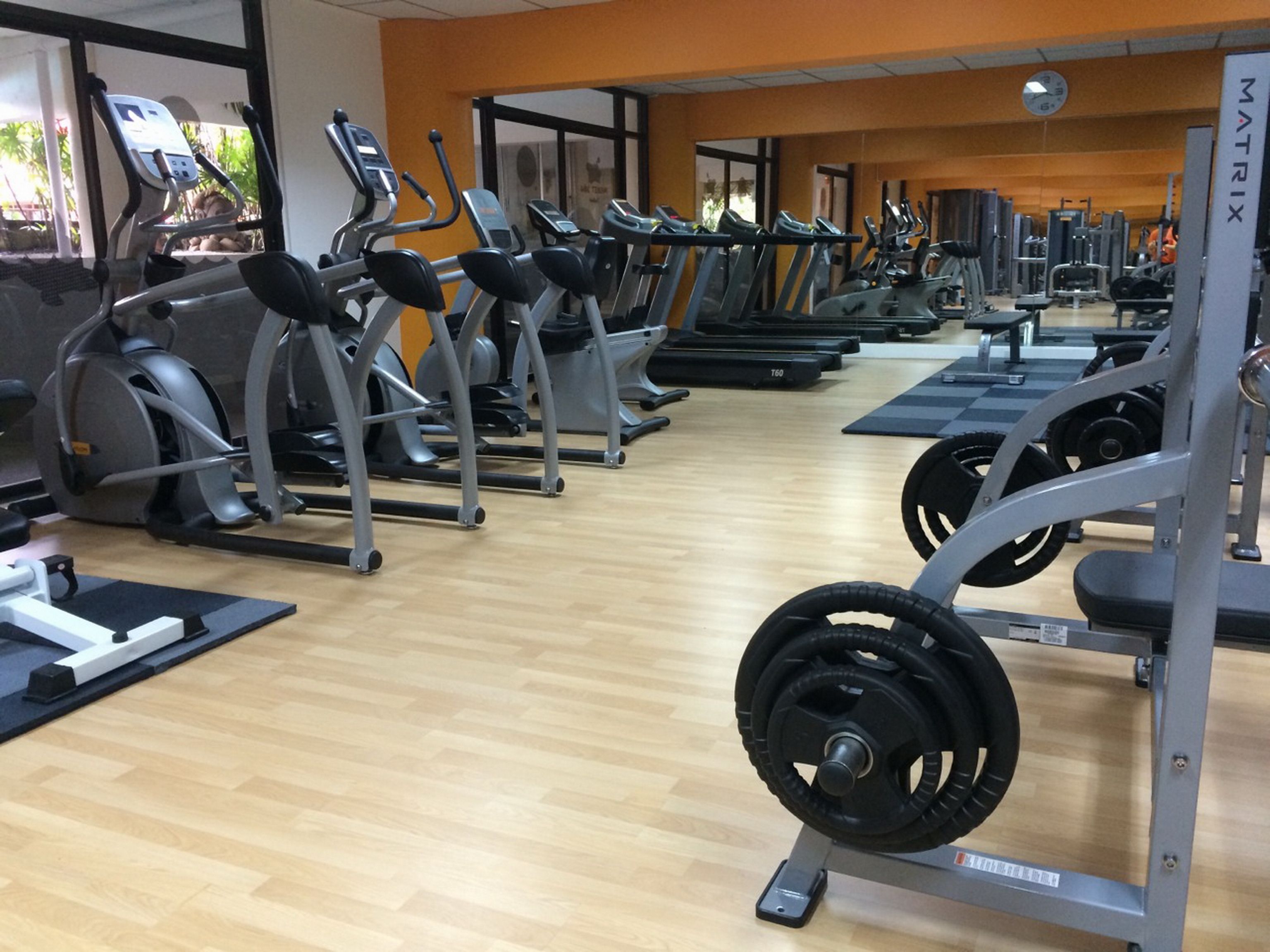 Sport