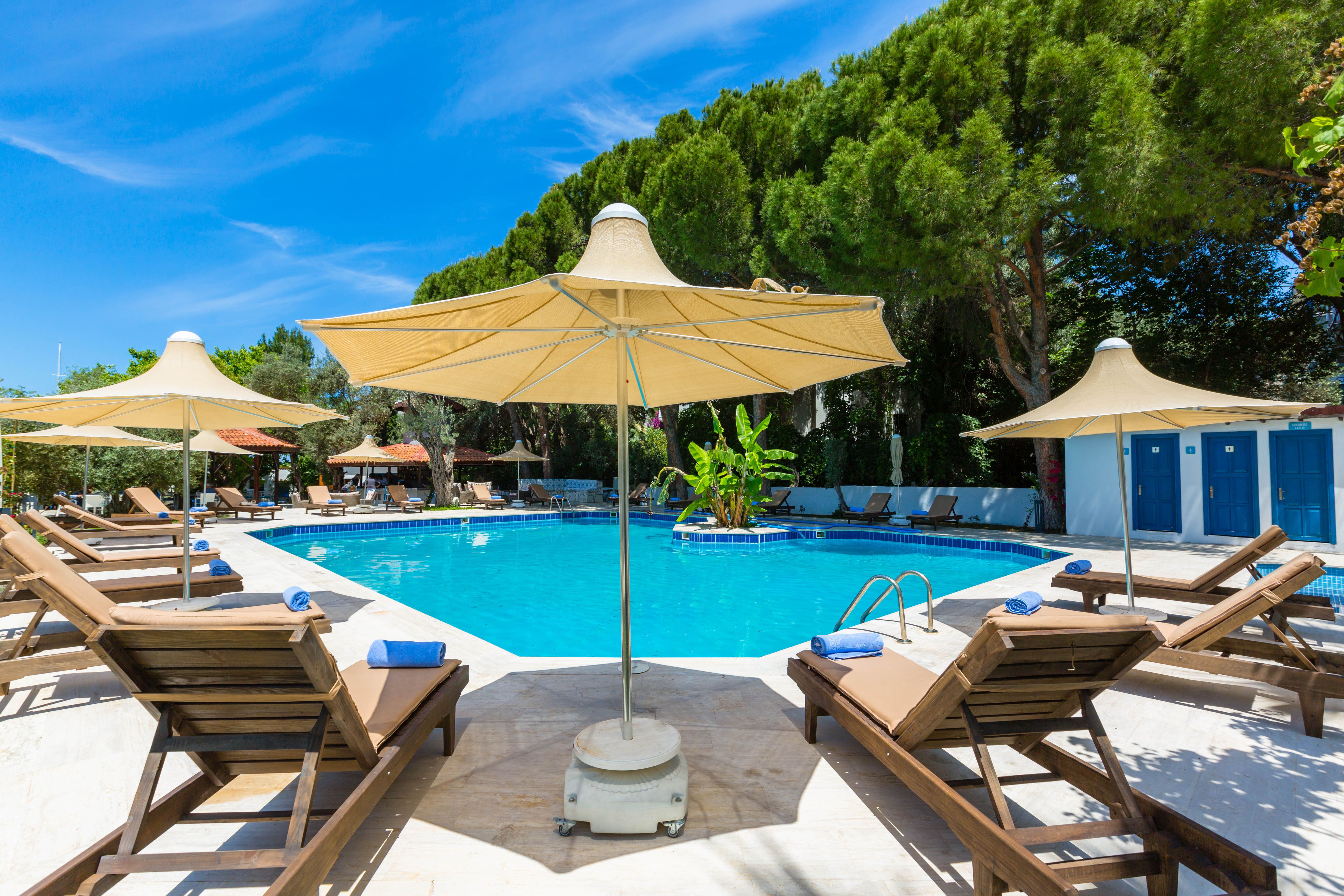 Orfe A'la Carte Restaurant / Room Service