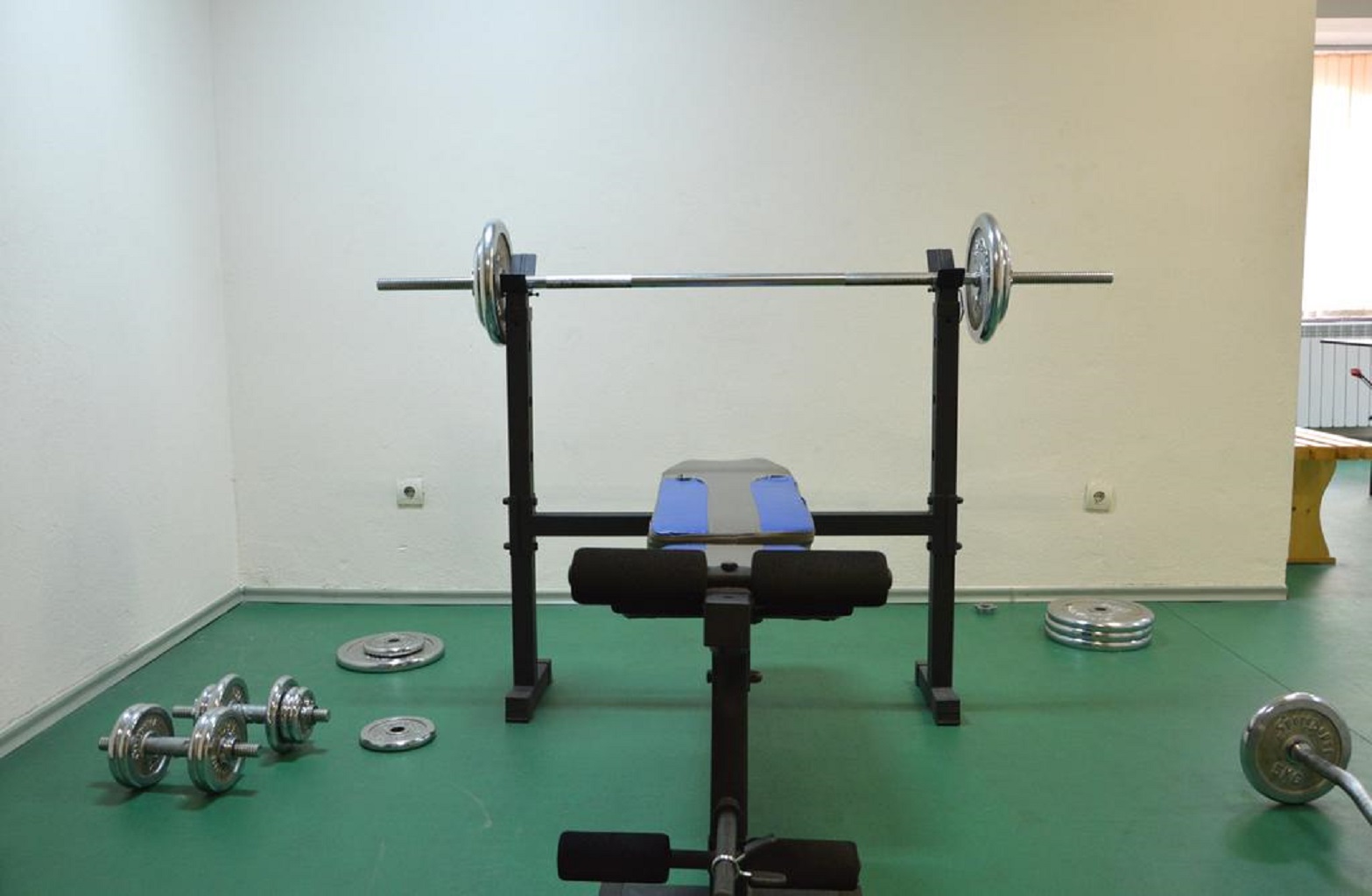 Sport