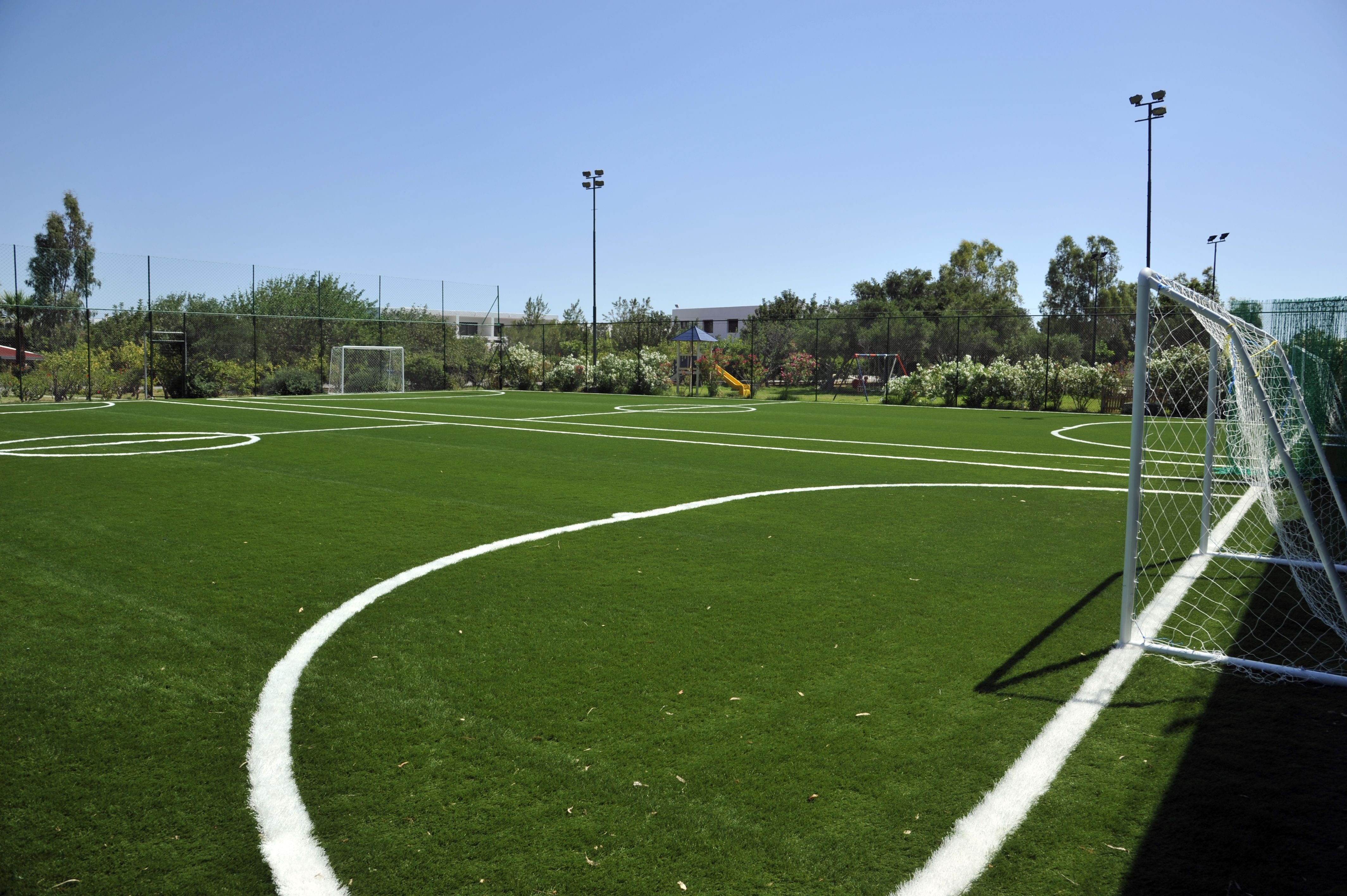 Sport