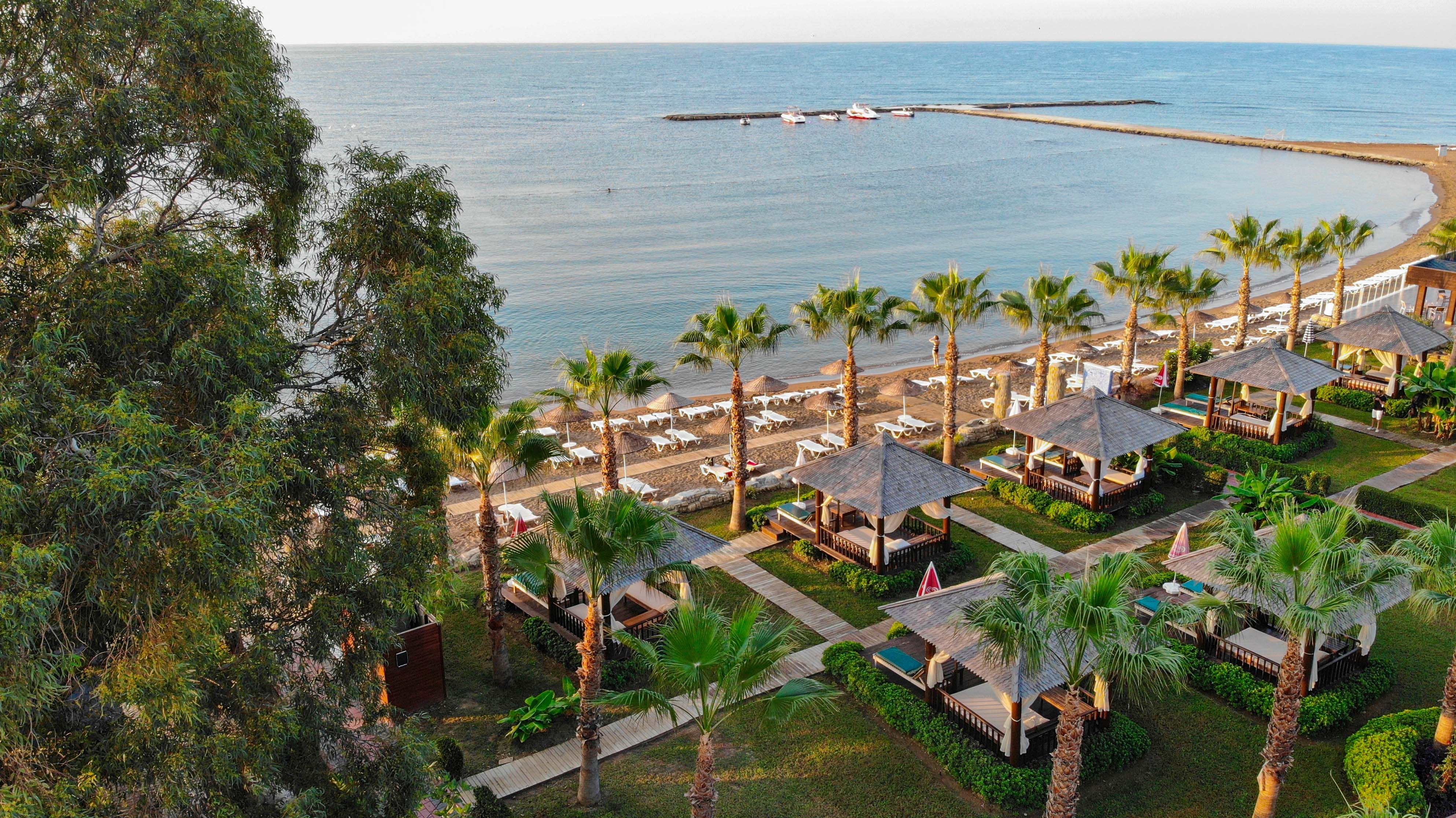 Plajă 