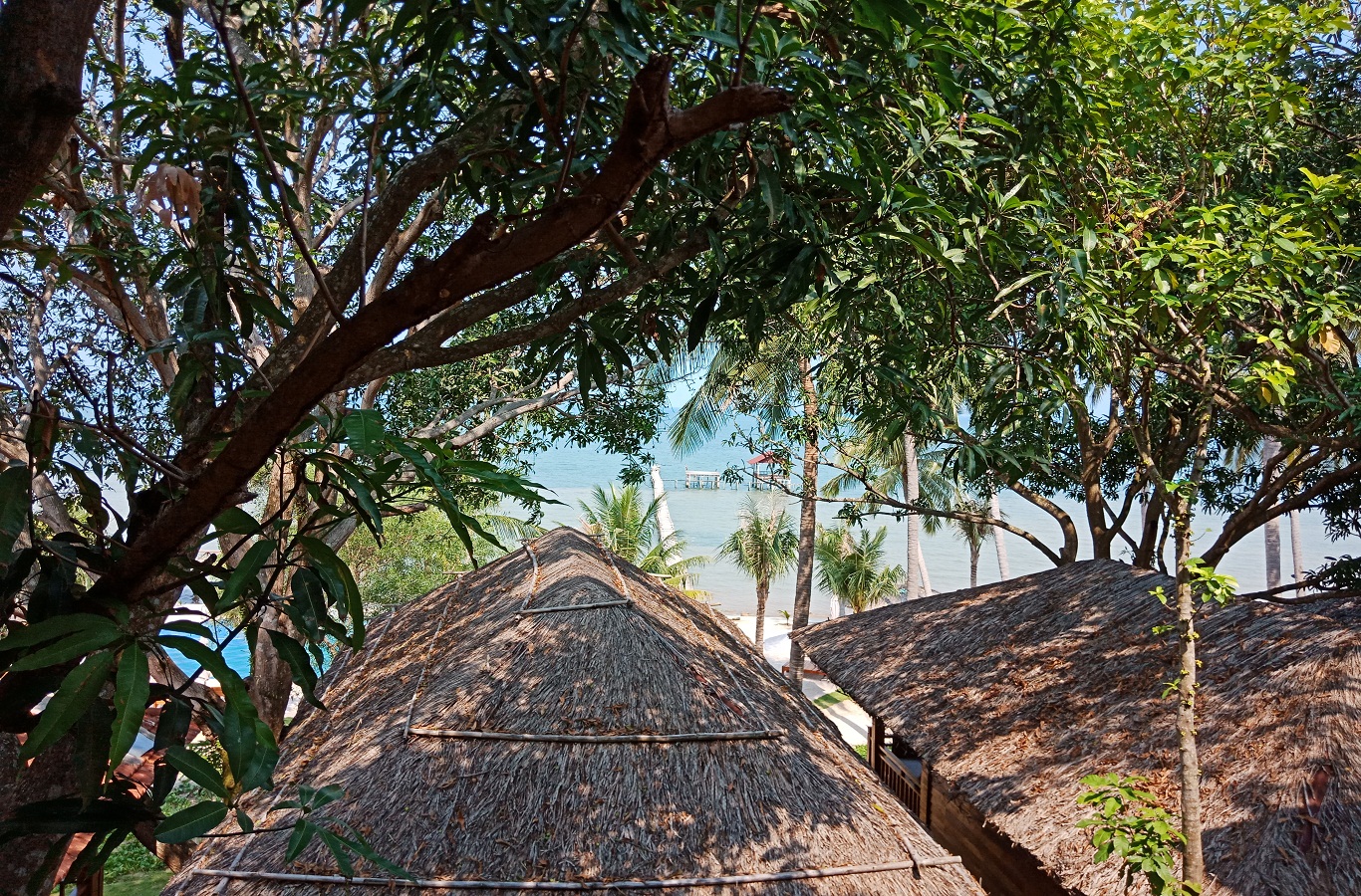 BUNGALOW OCEAN VIEW