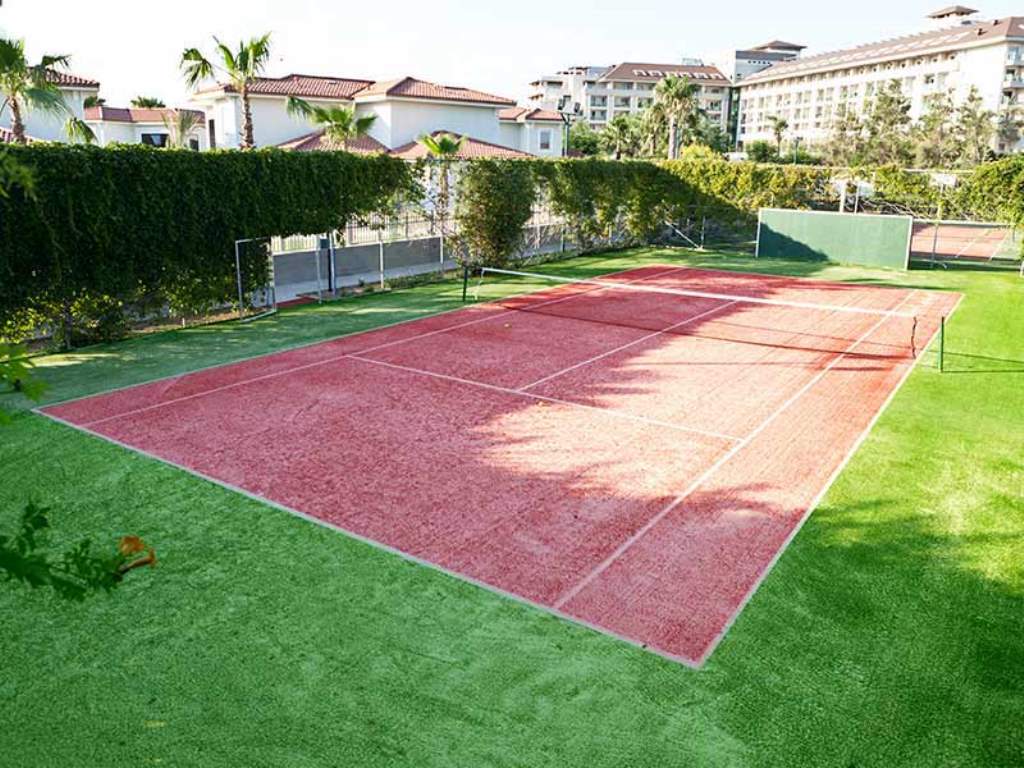 Sport