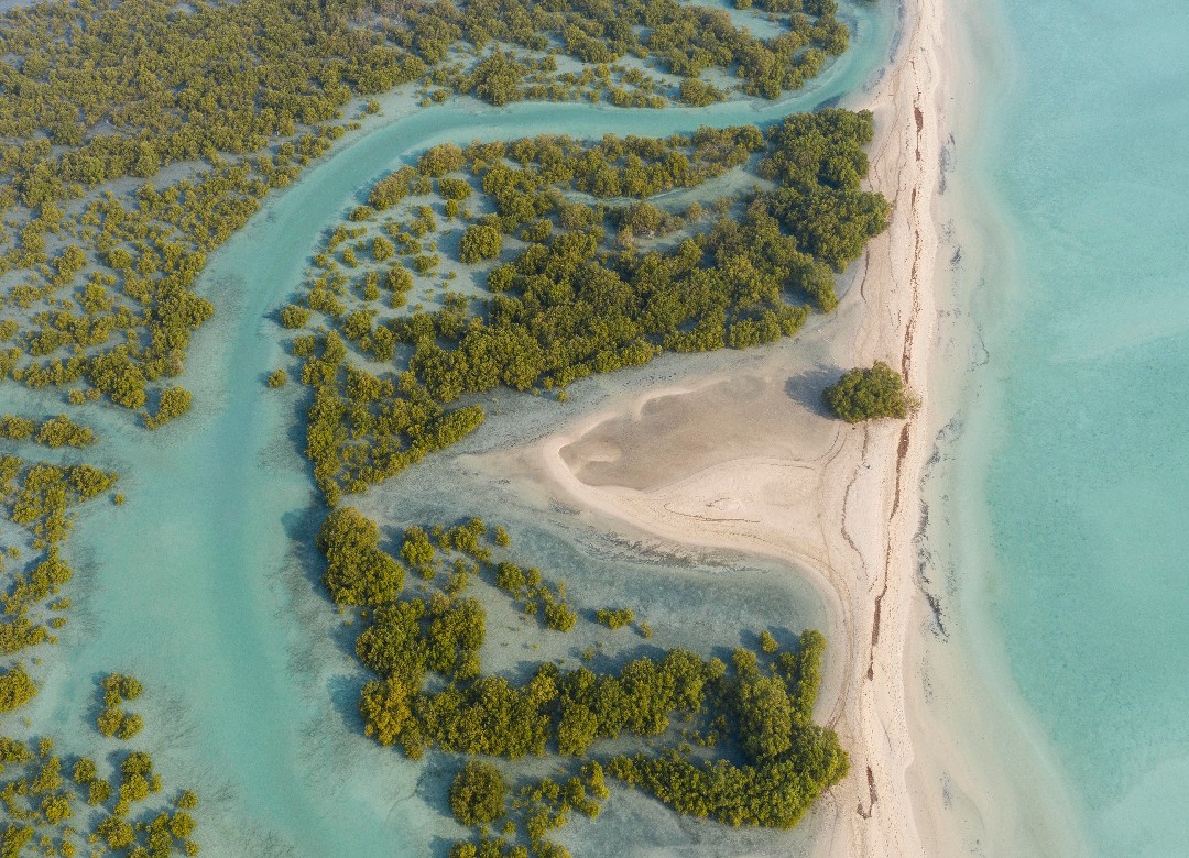 Plajă 