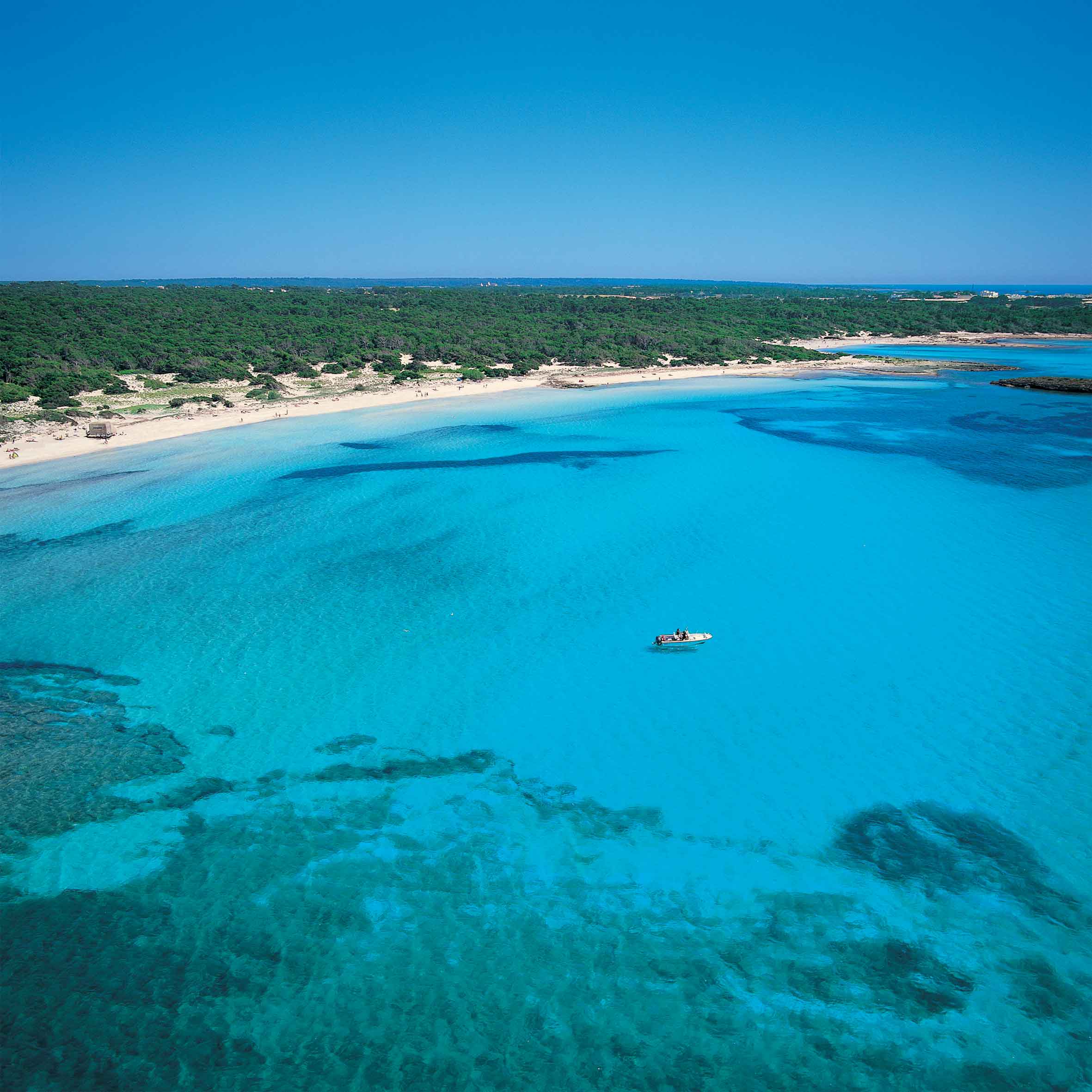Plajă 