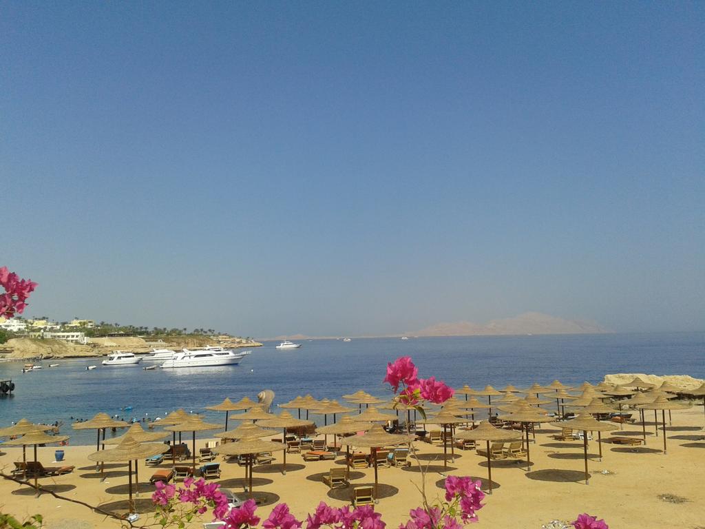 Plajă 