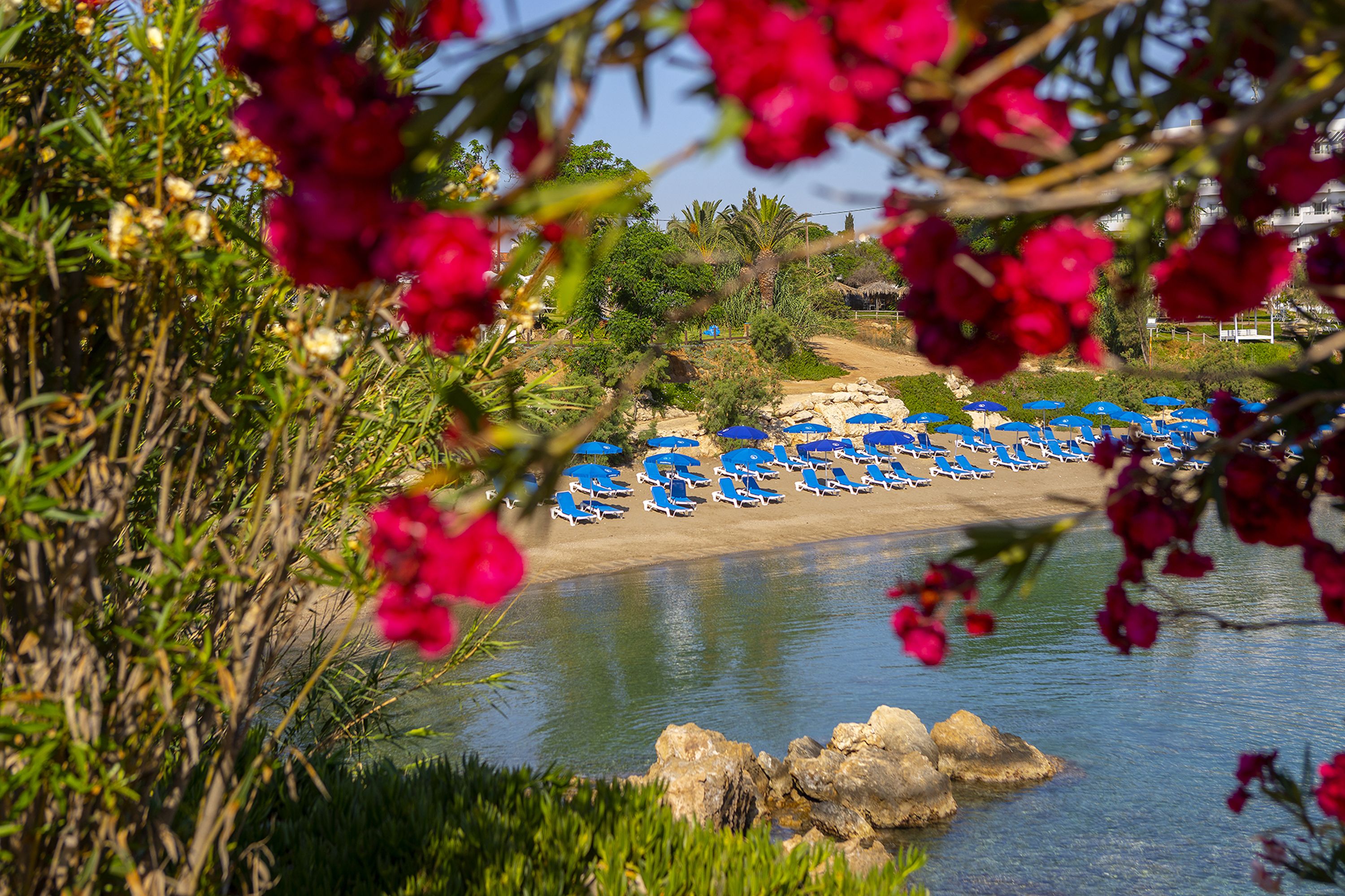 Plajă 