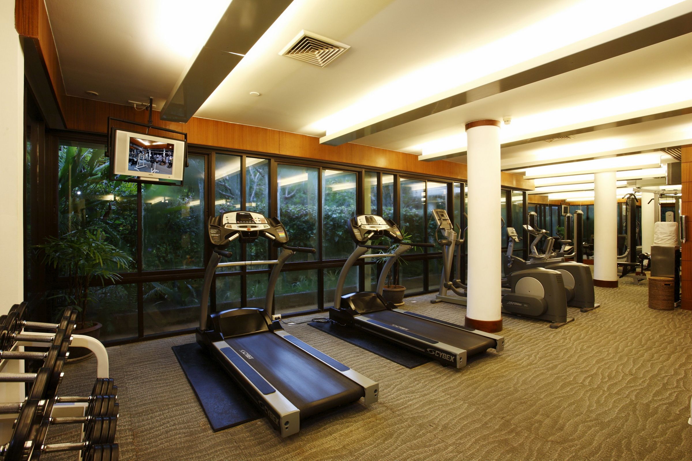 Sport