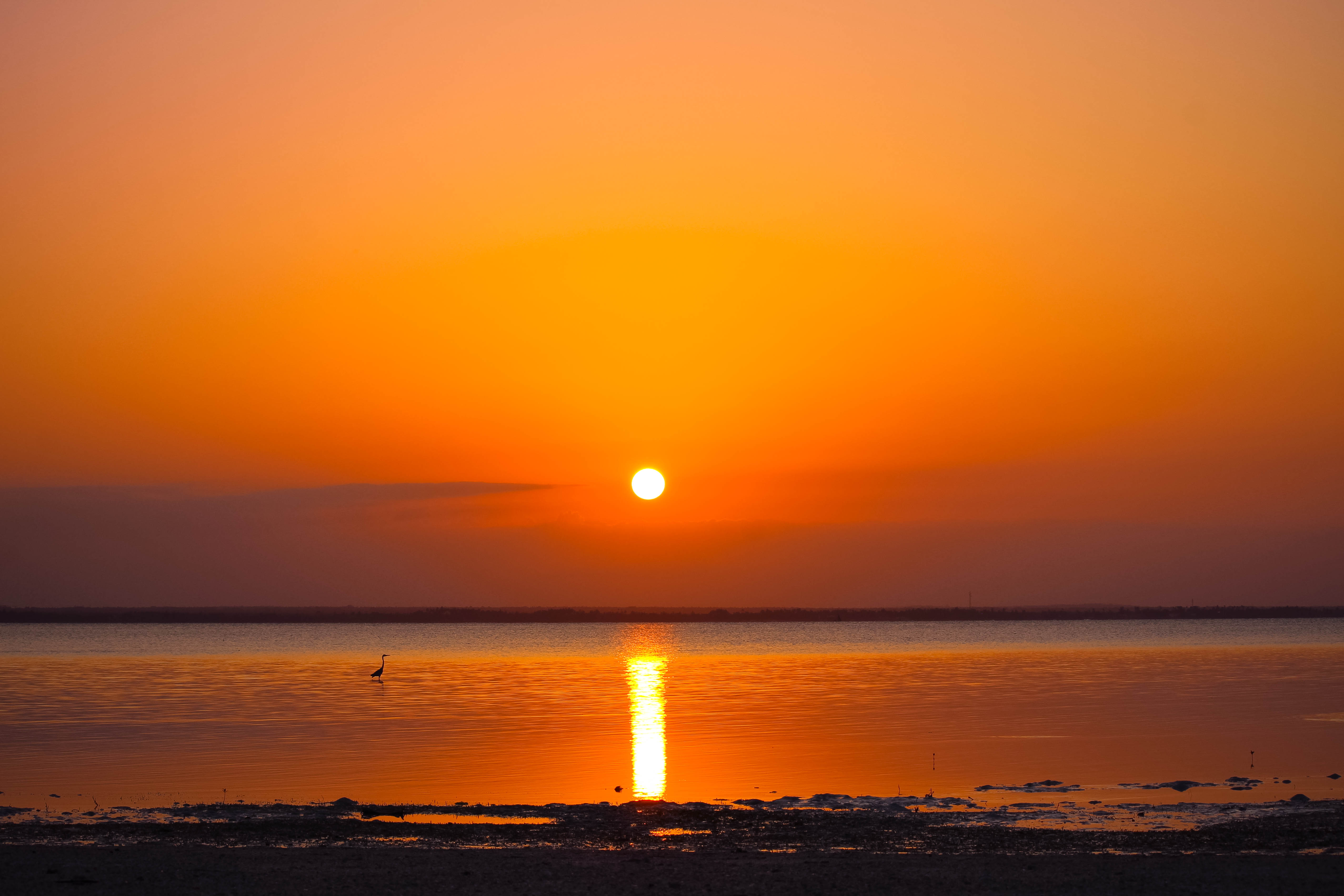 Plajă 