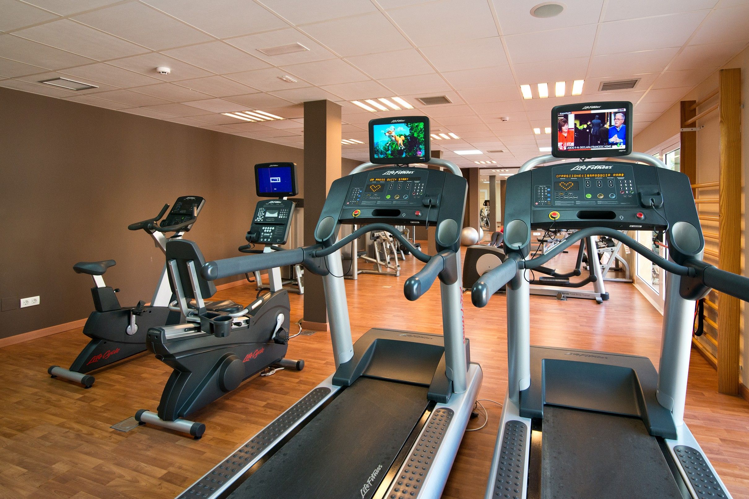 Sport
