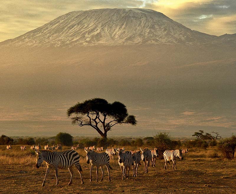 Safari-Tsavo-Est-e-Amboseli-2.jpg