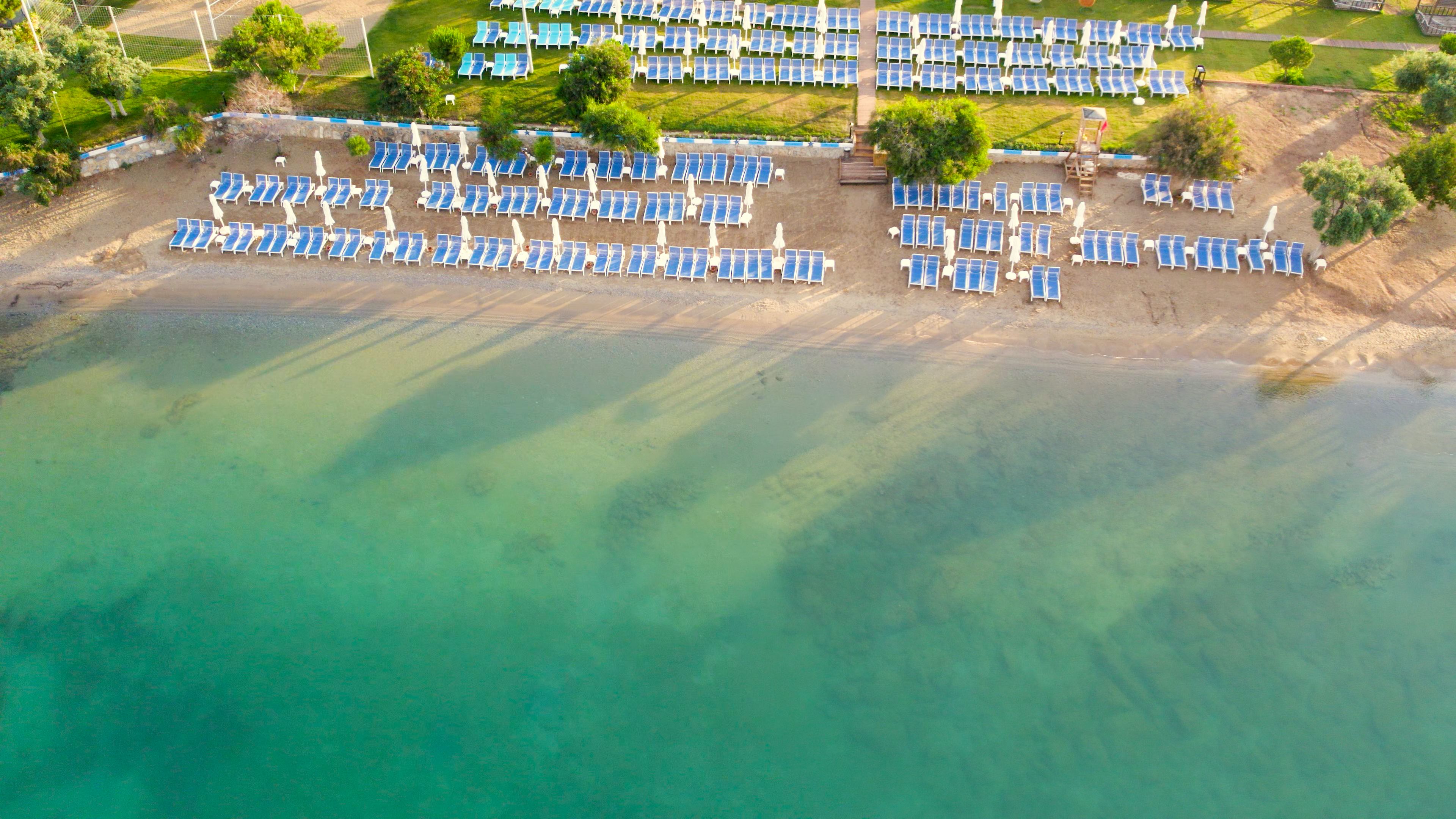 Plajă 