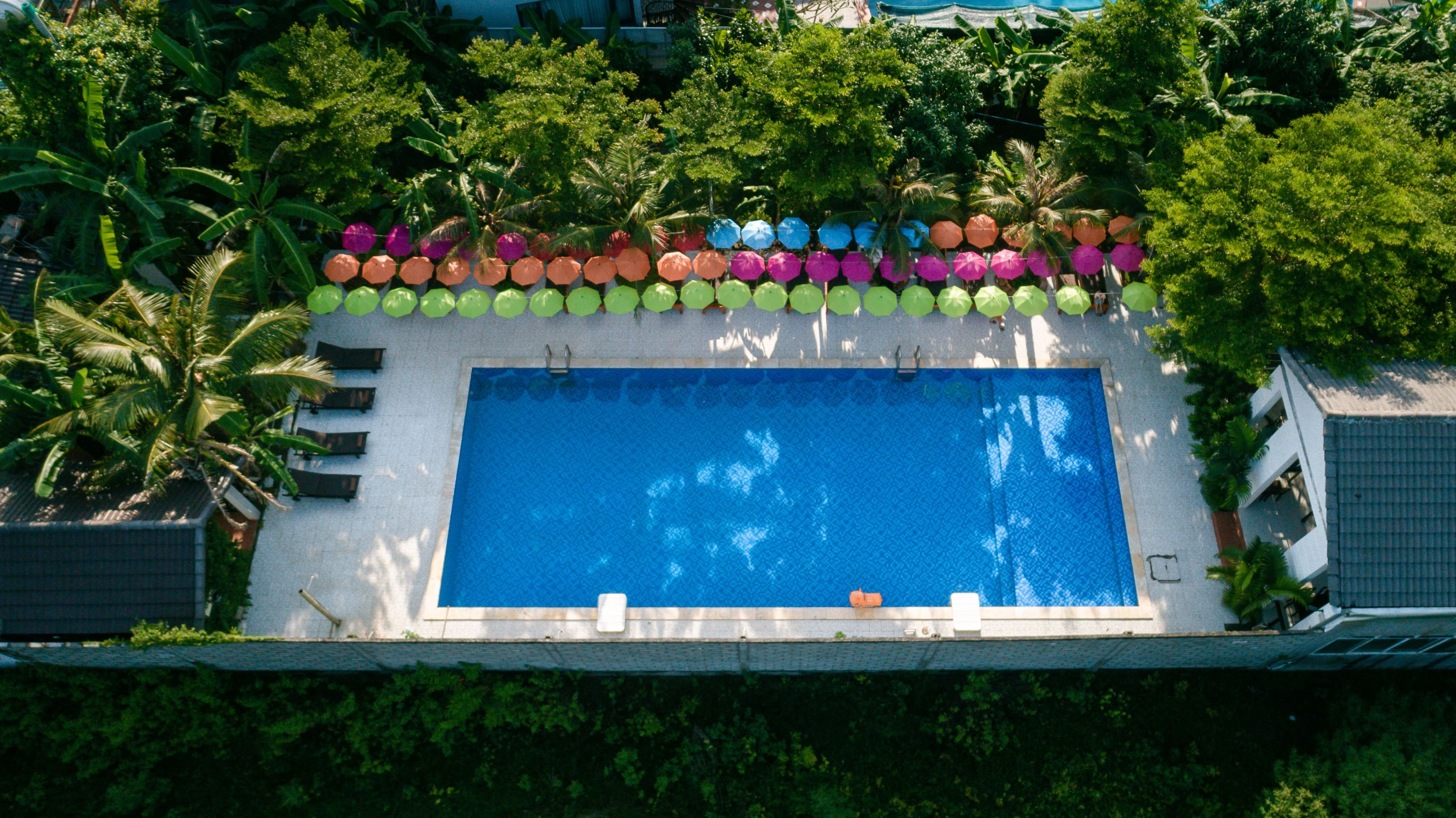 Piscina deschisă