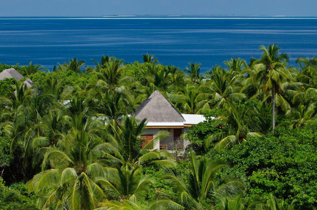 Treetop Pool Villa