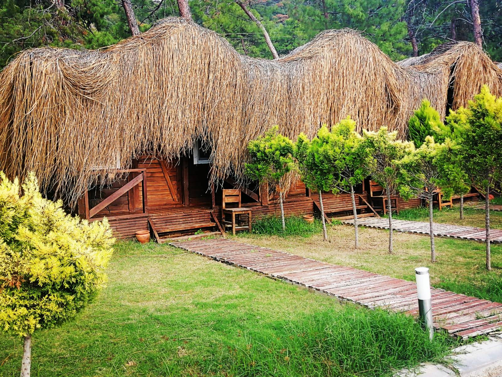 Tree House Room