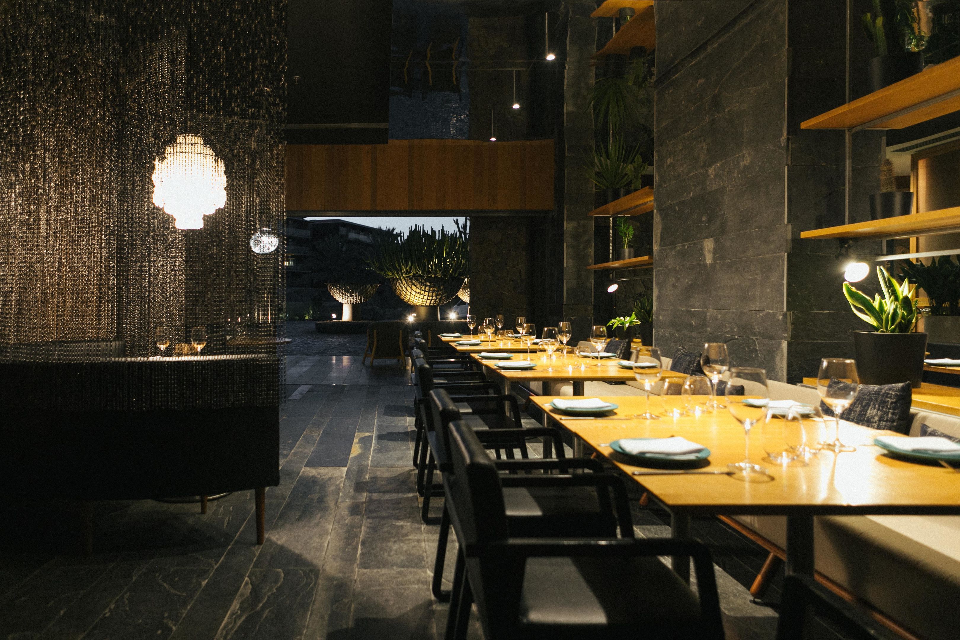 SENS Kitchen Patio Garden