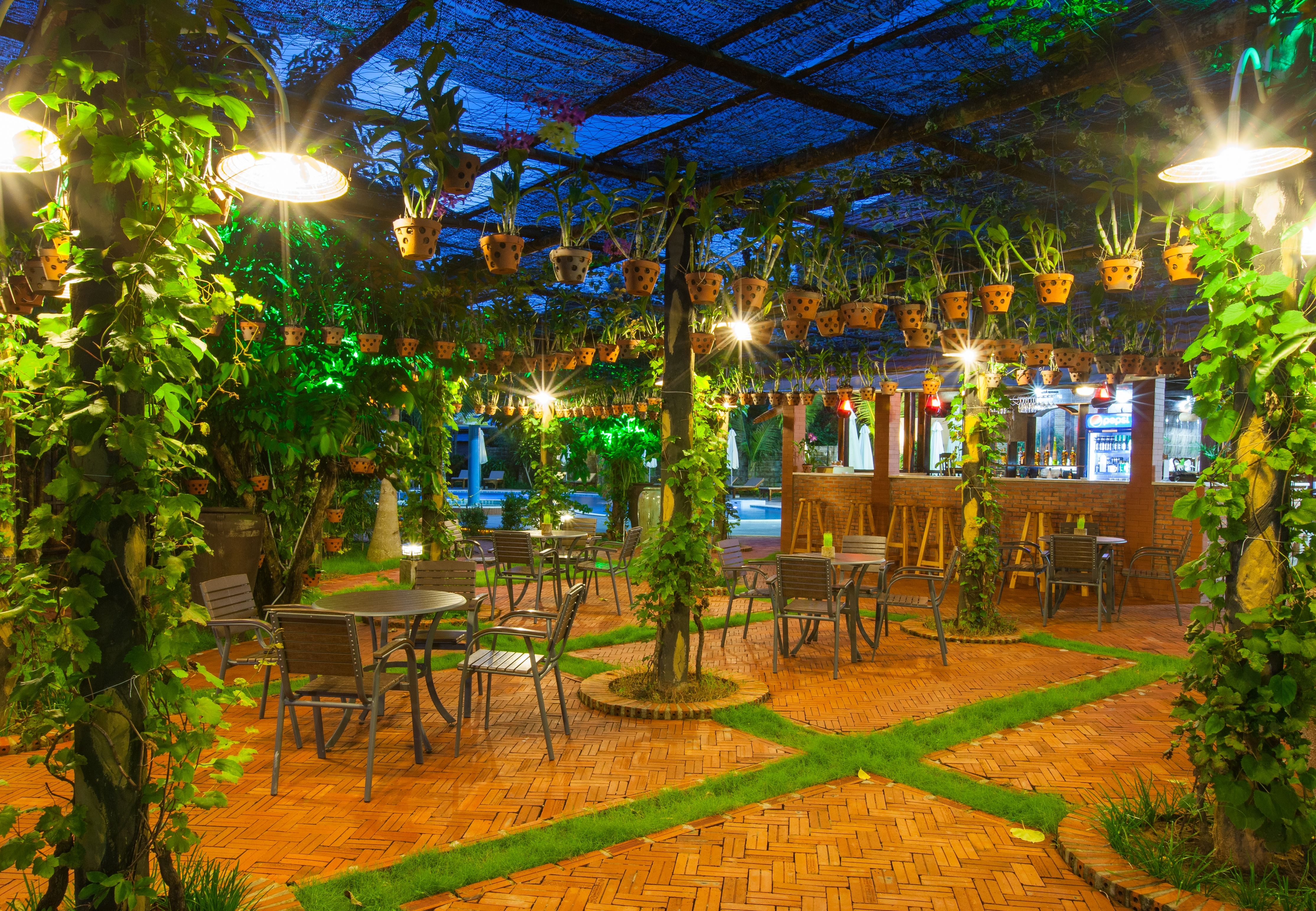 Wooden Bar