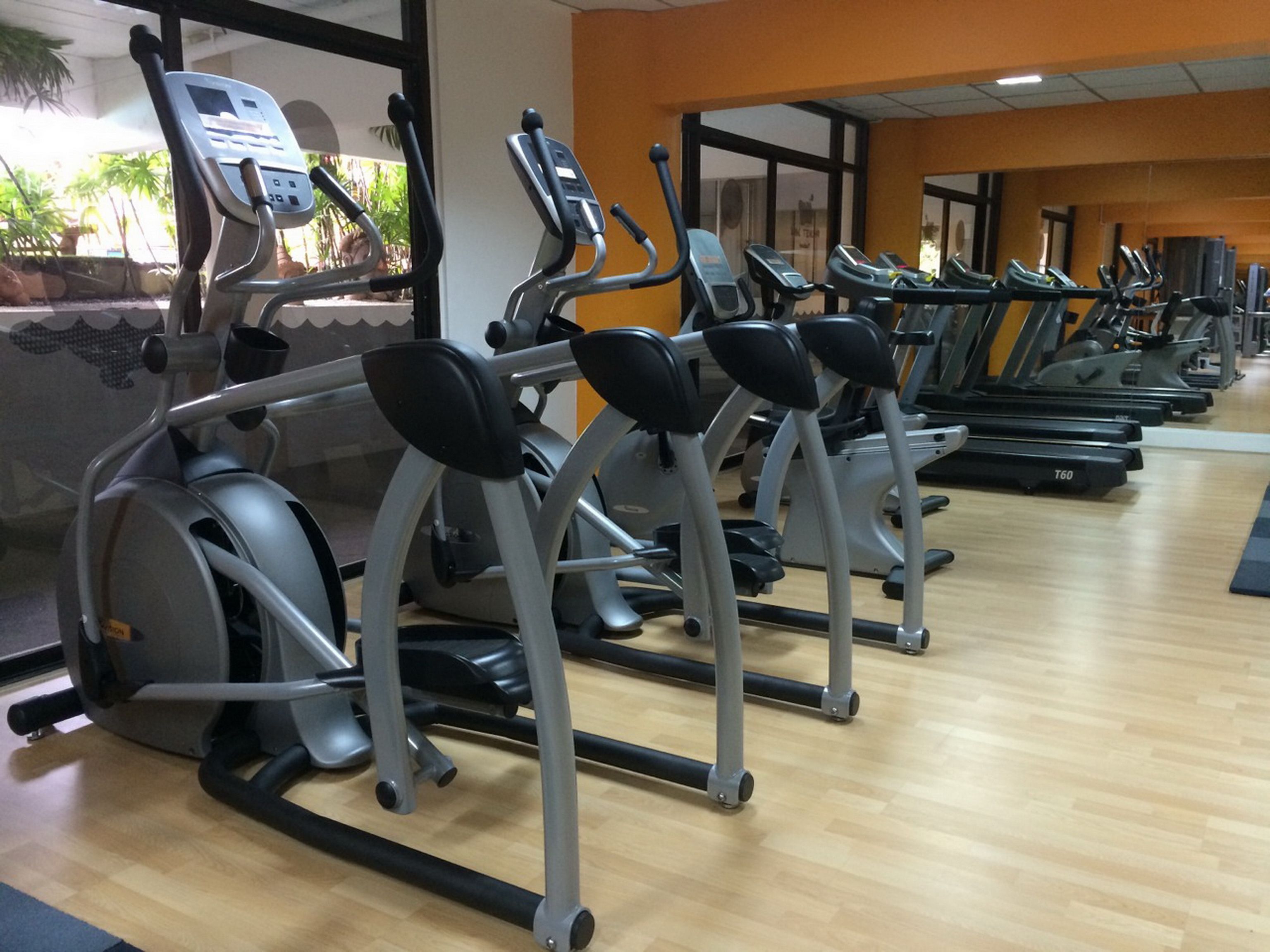 Sport