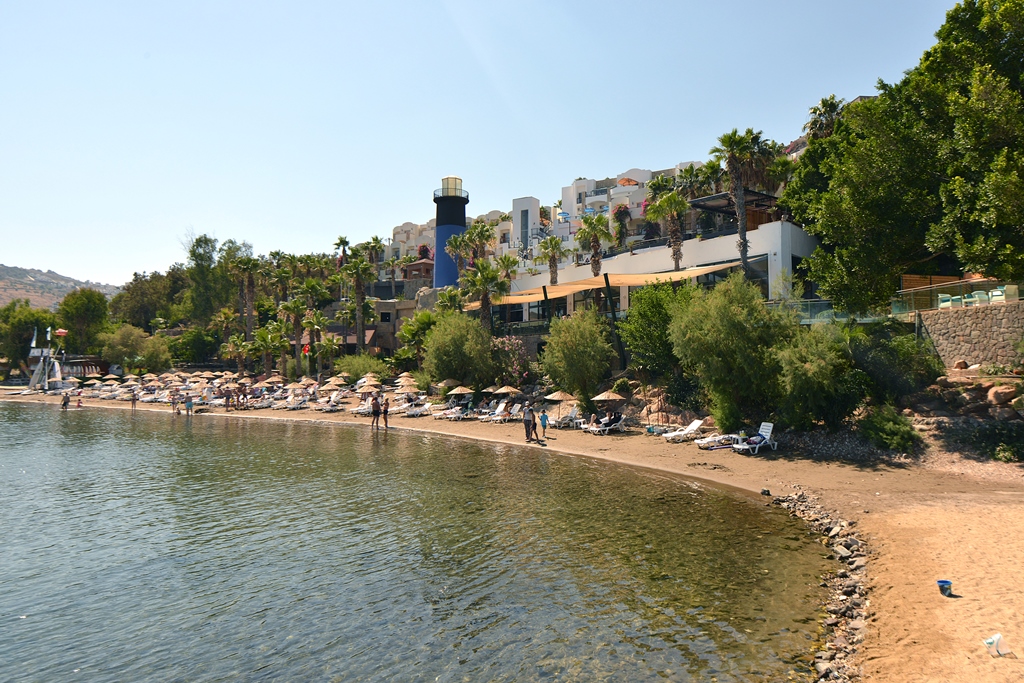 Plajă 