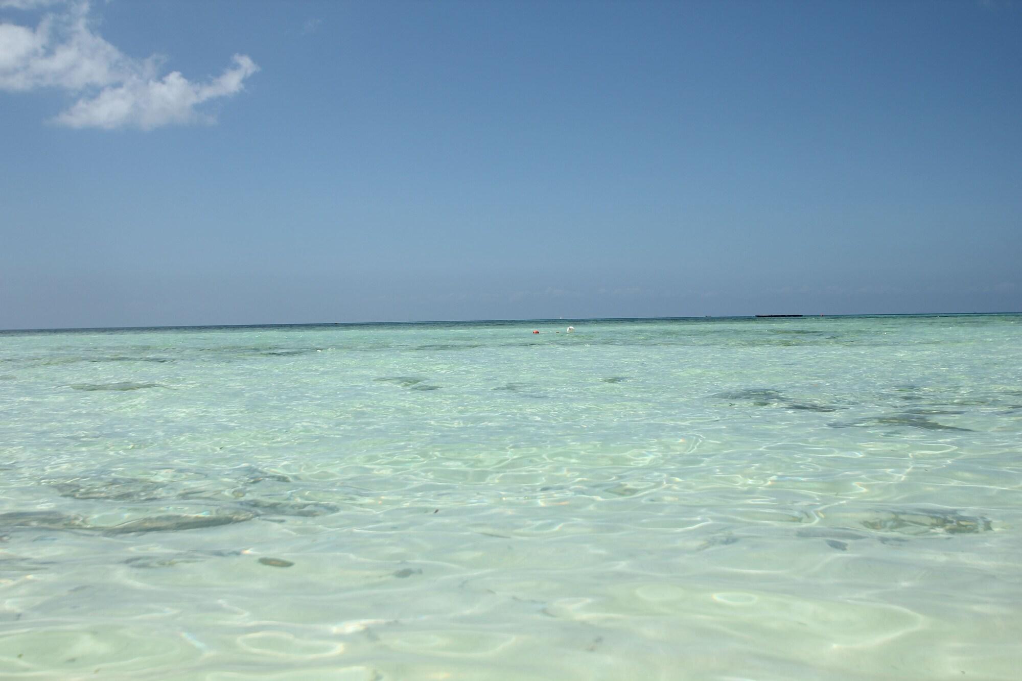 Plajă 