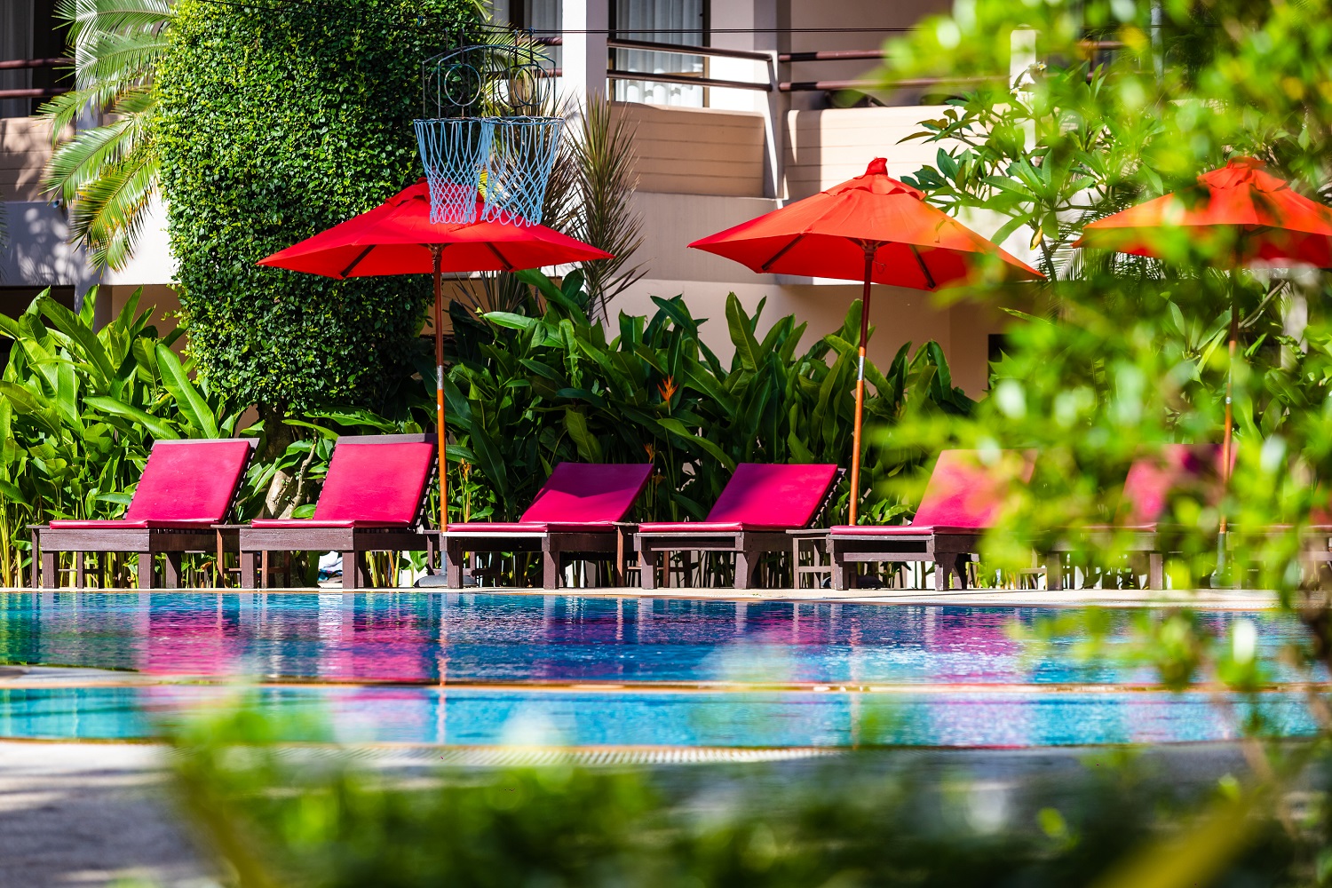 Piscina deschisă