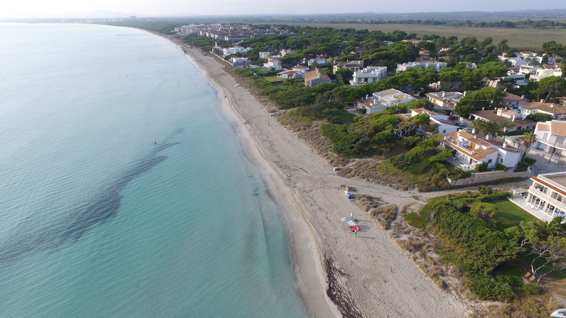 Plajă 