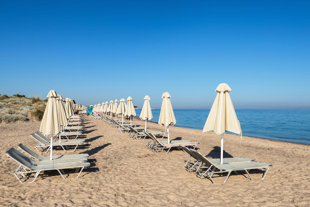 Plajă 