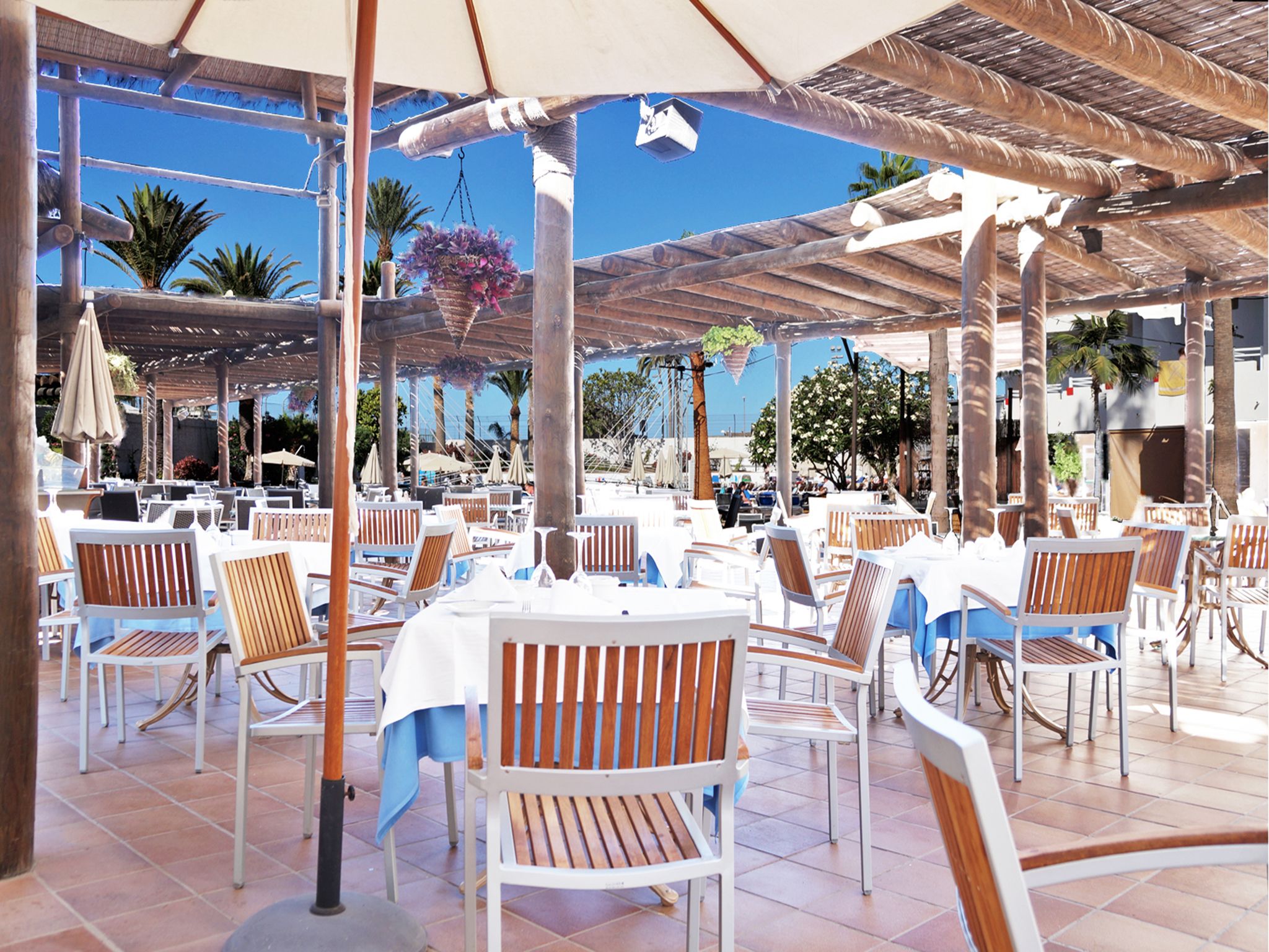 La Palapa