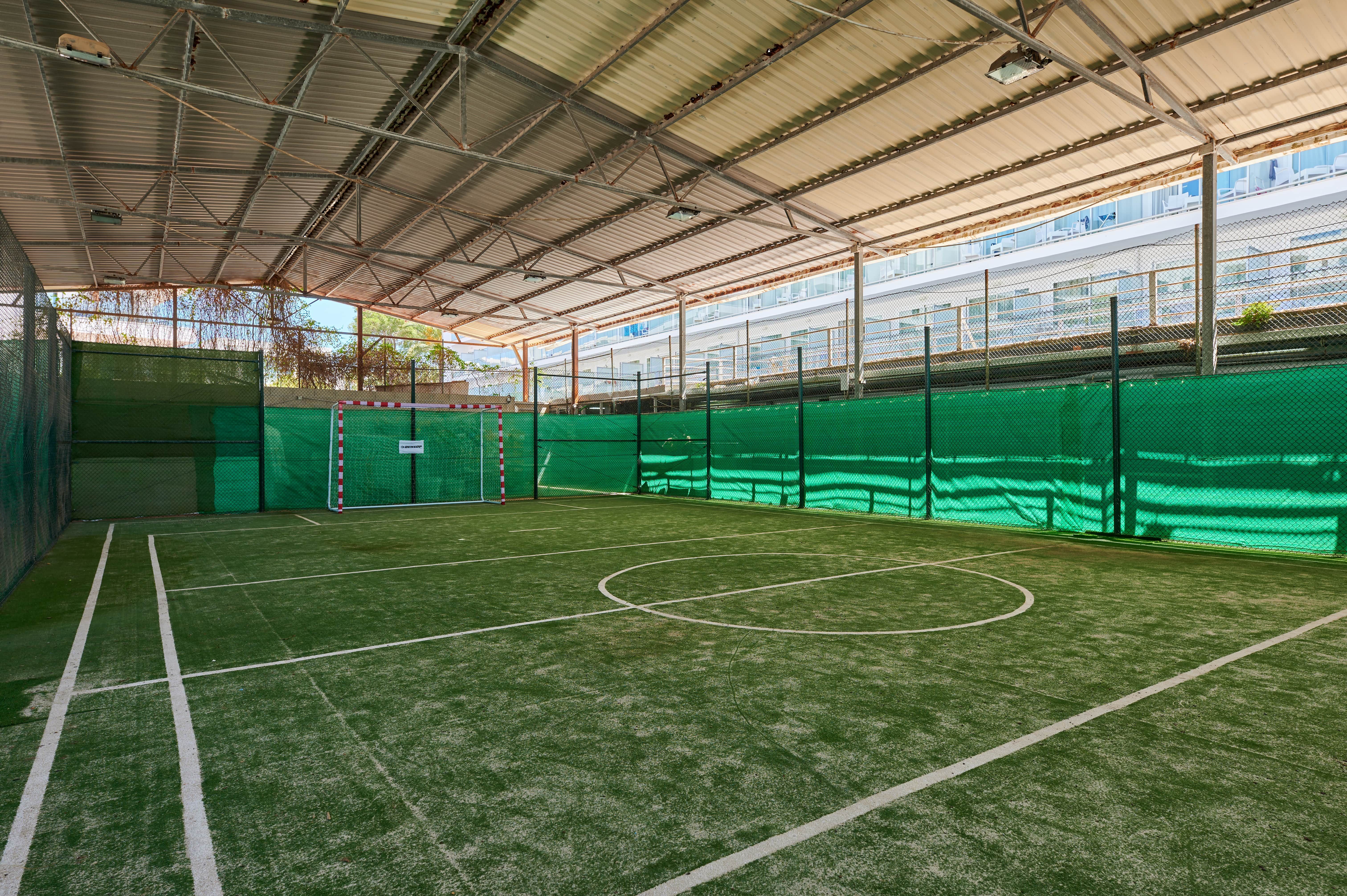 Sport