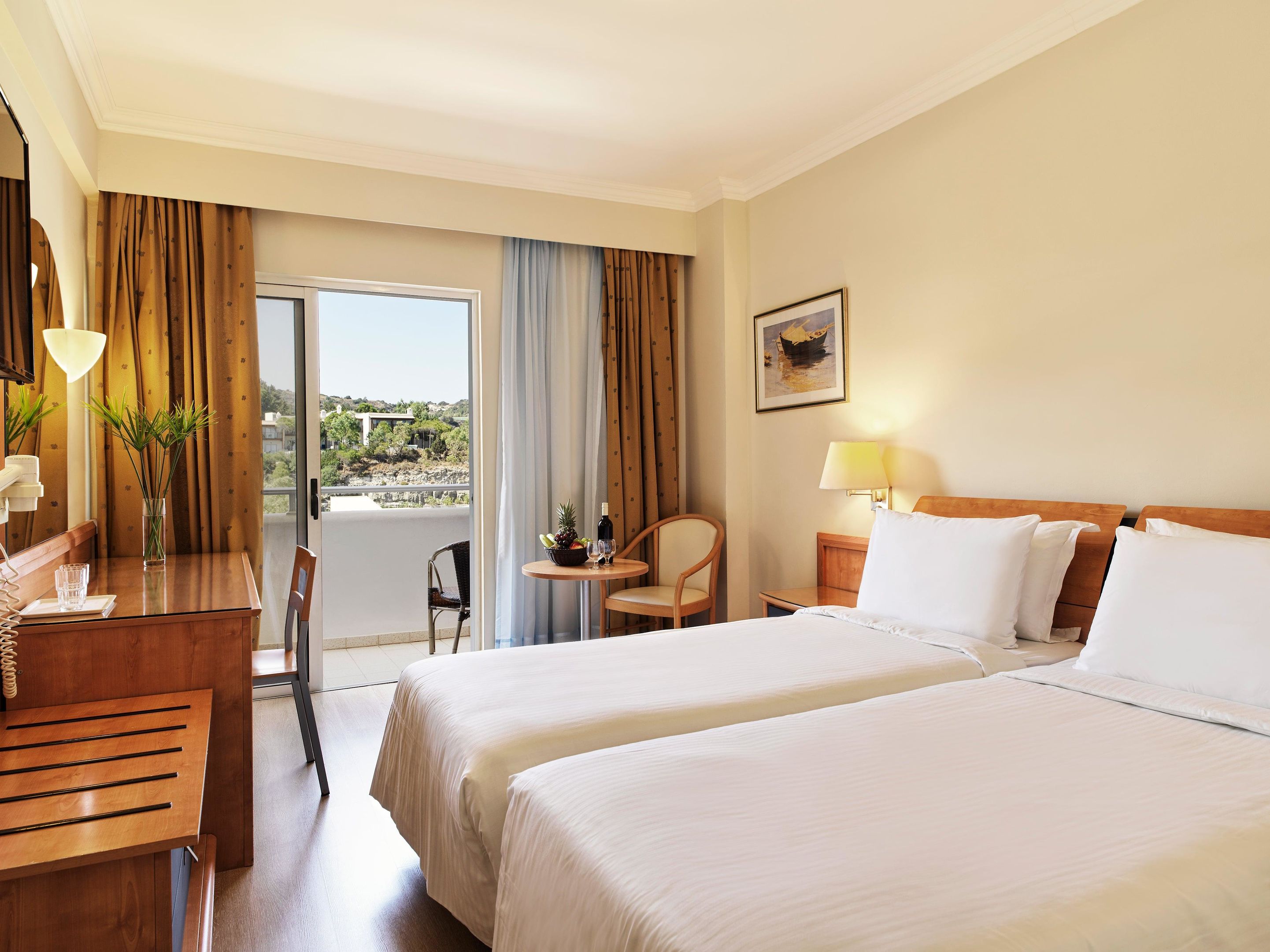 Twin Room Garden view Balcony or Terrace Economy