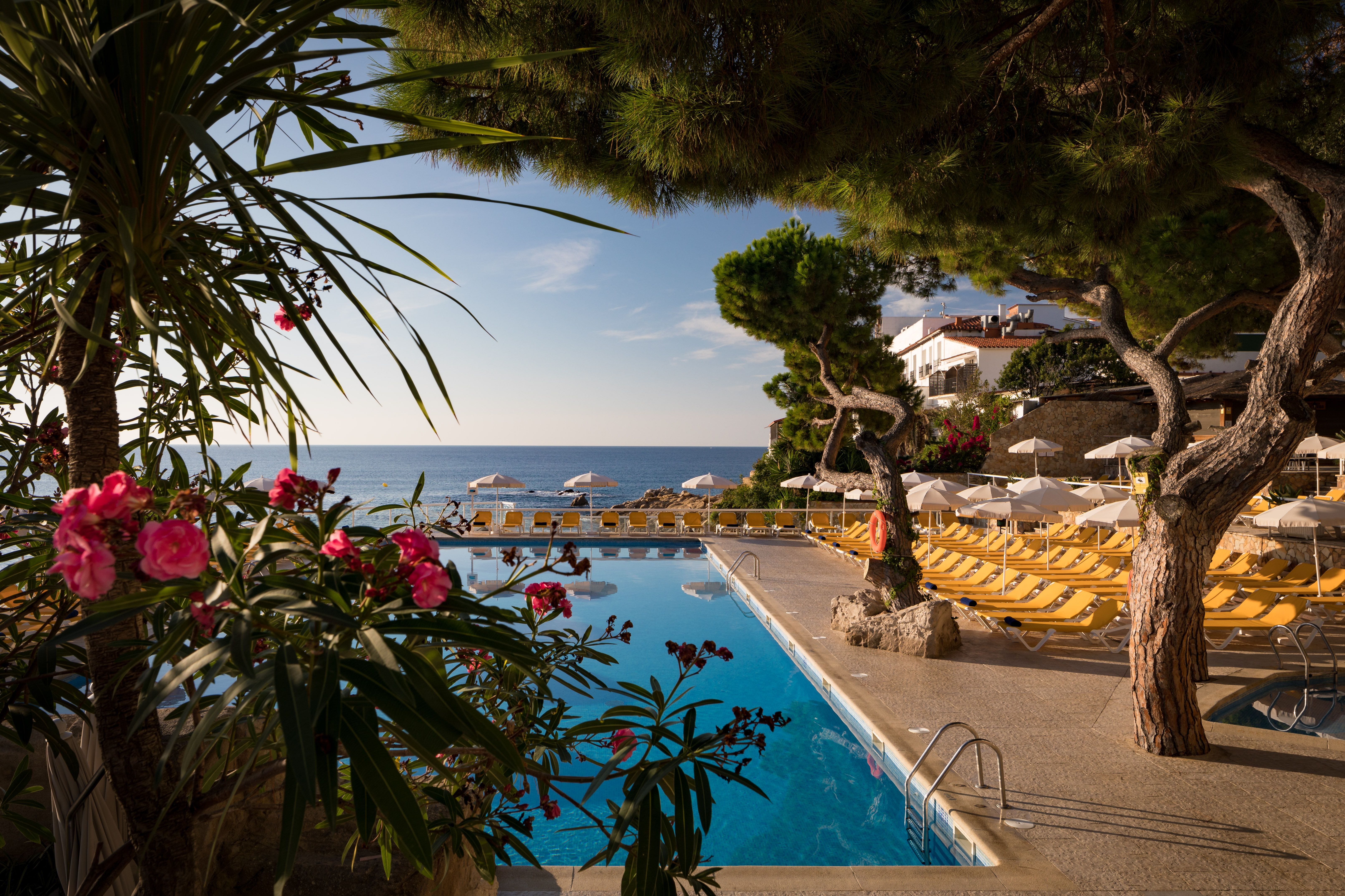 Piscina deschisă