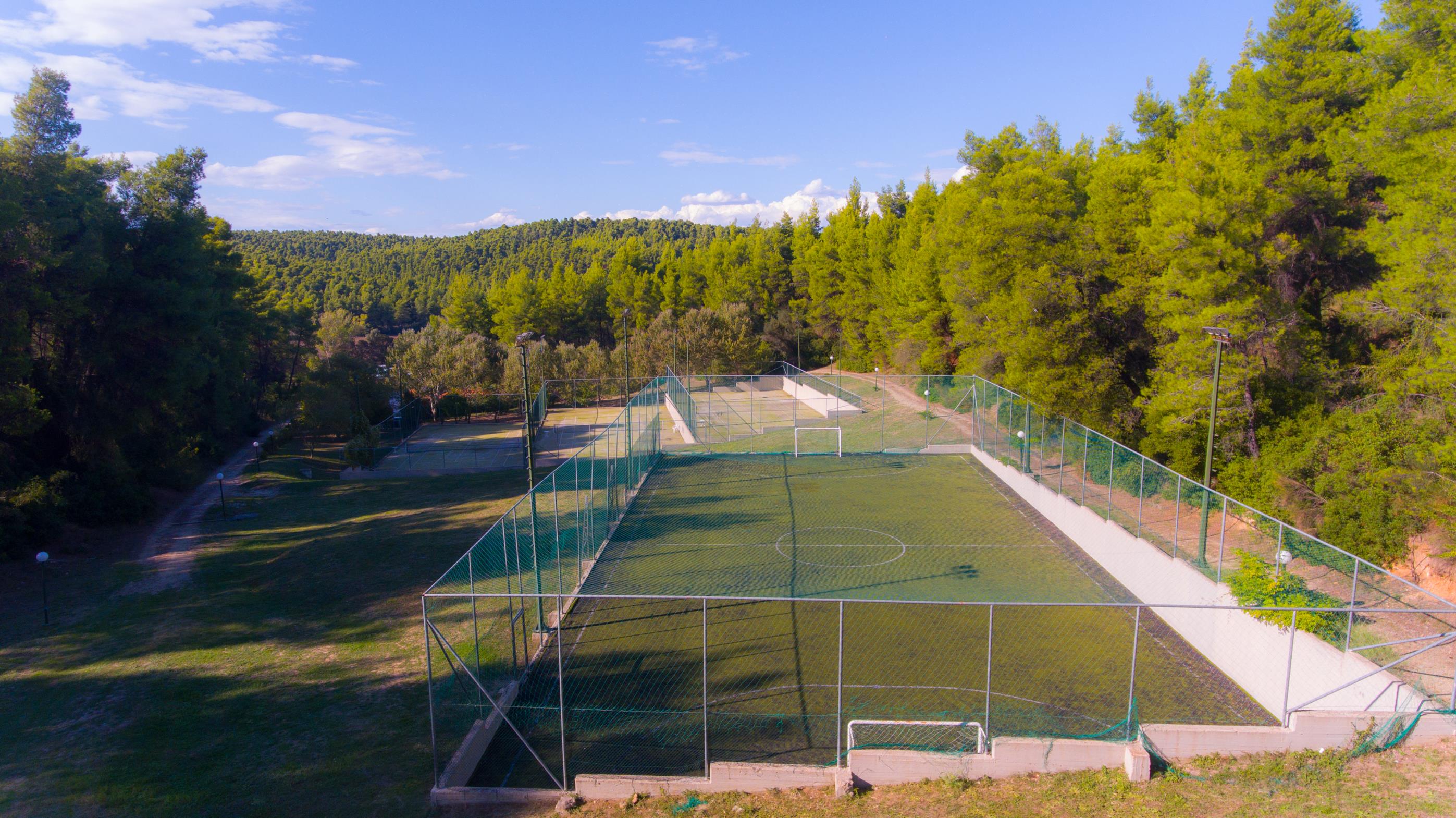 Sport