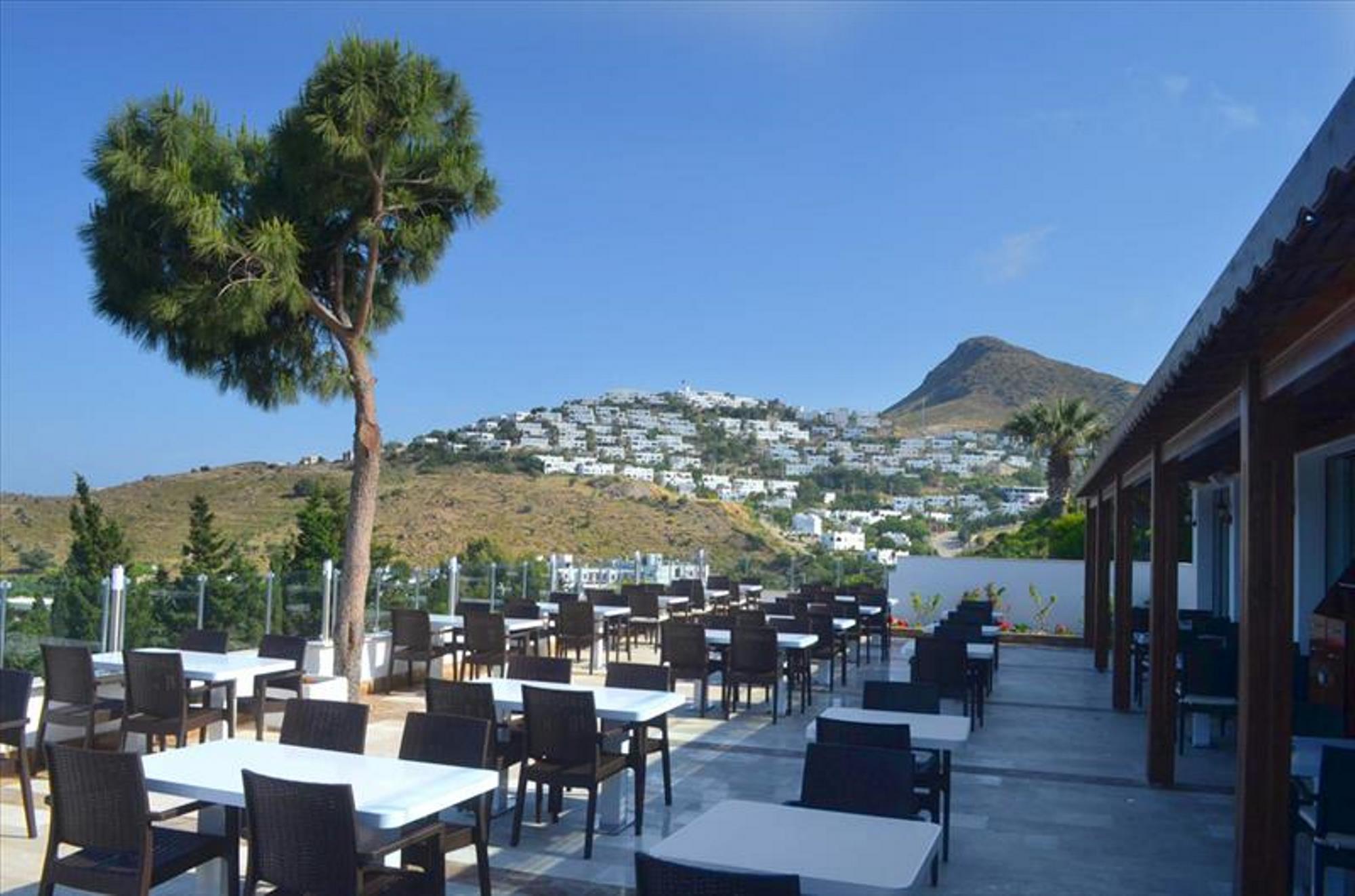 MAIN RESTAURANT
