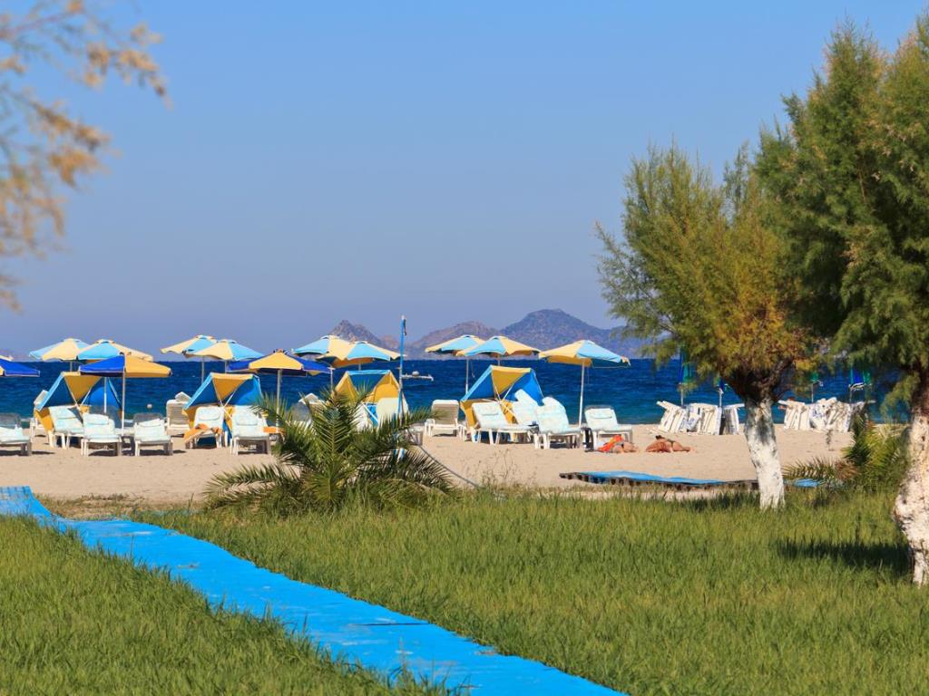 Plajă 