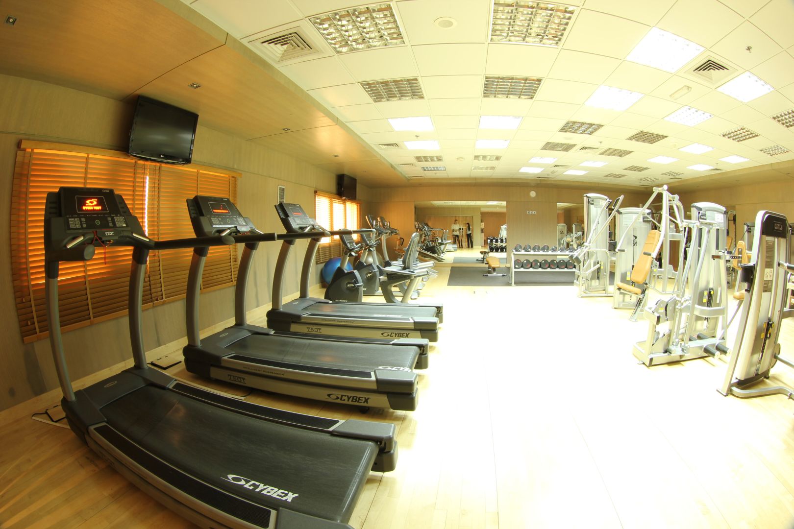 Sport