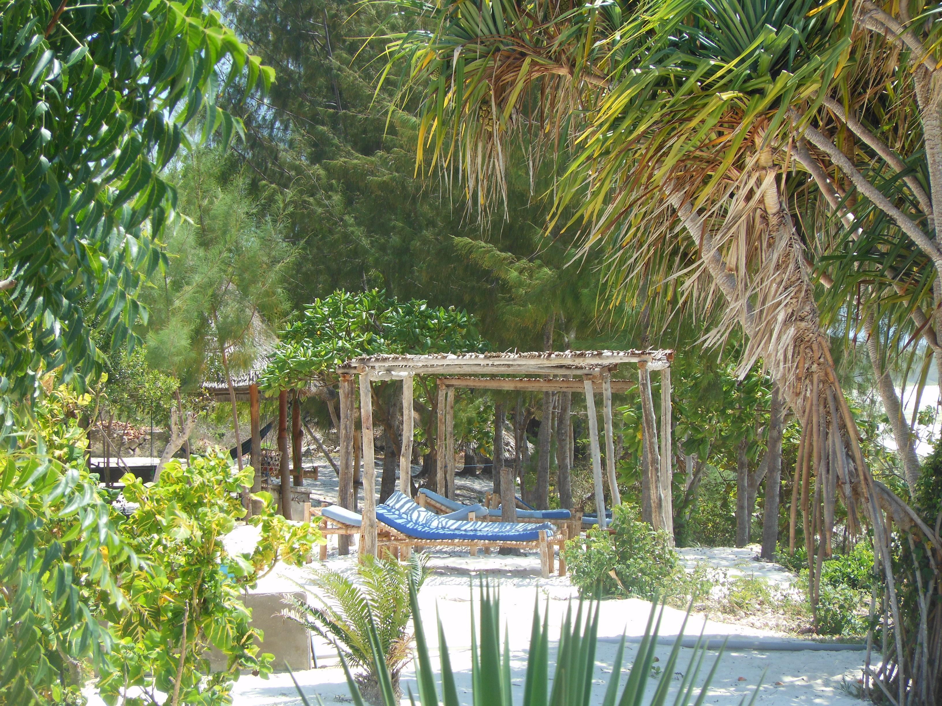 Plajă 