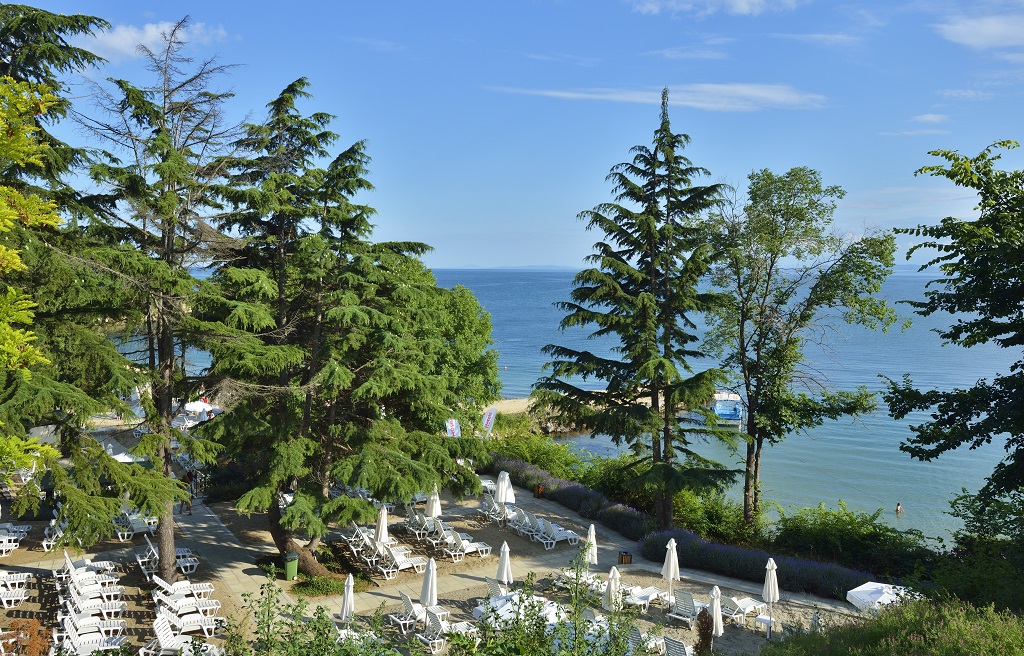 Plajă 