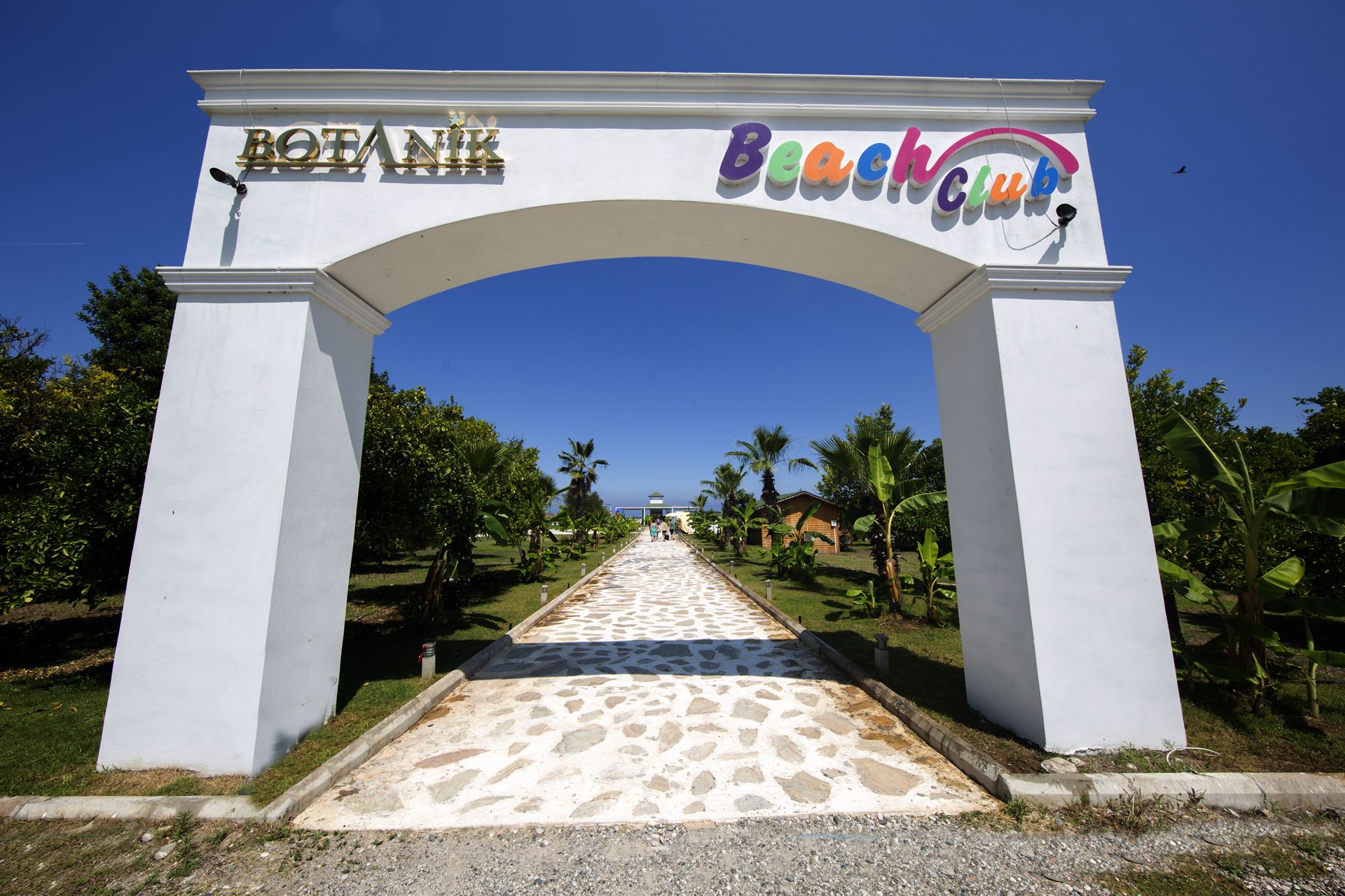 Beach