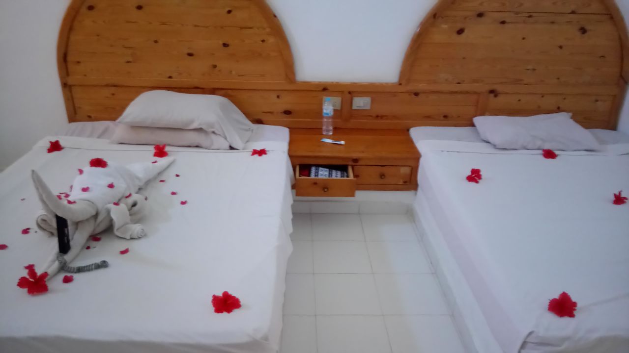 BASIC BUNGALOW ROOM
