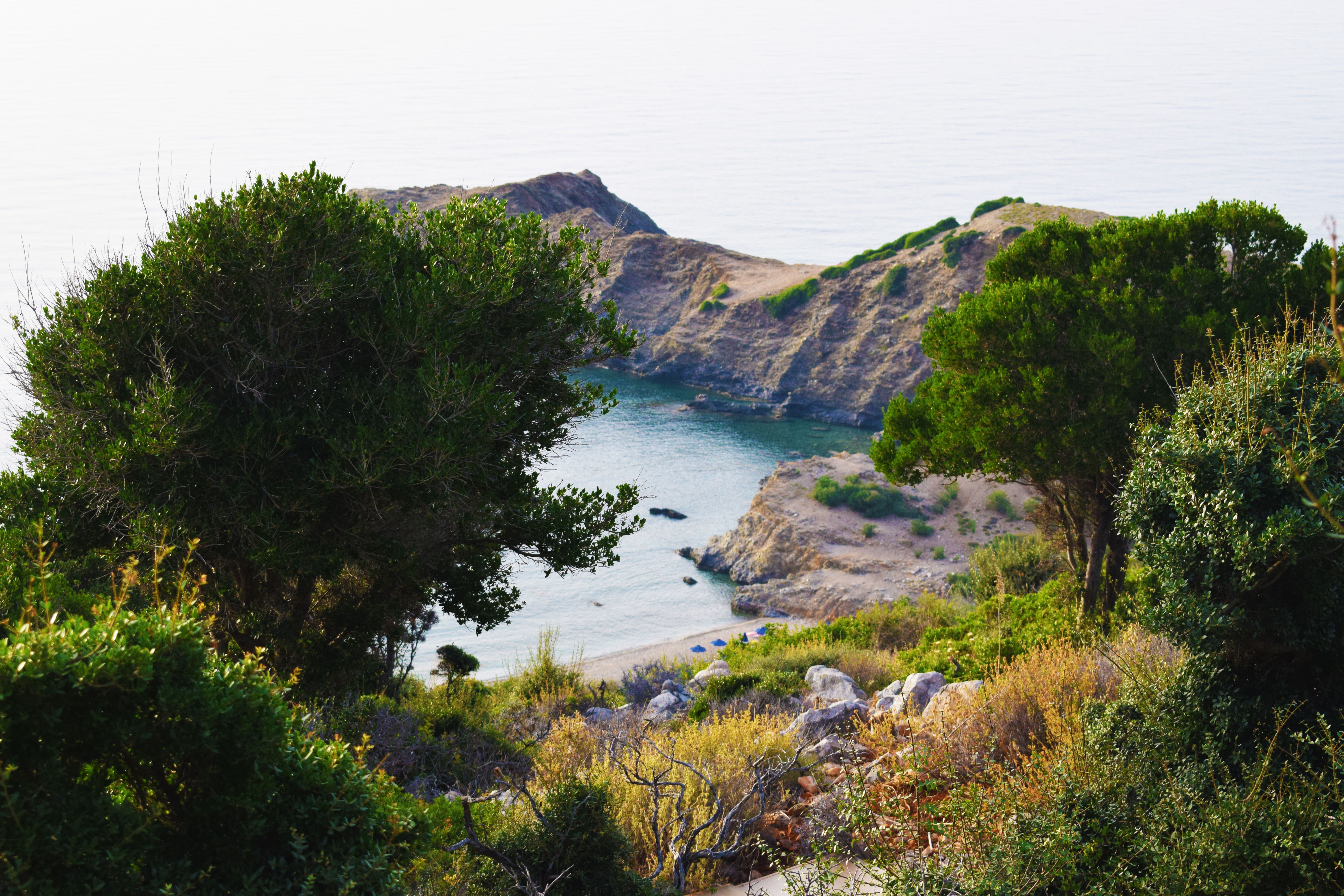Plajă 