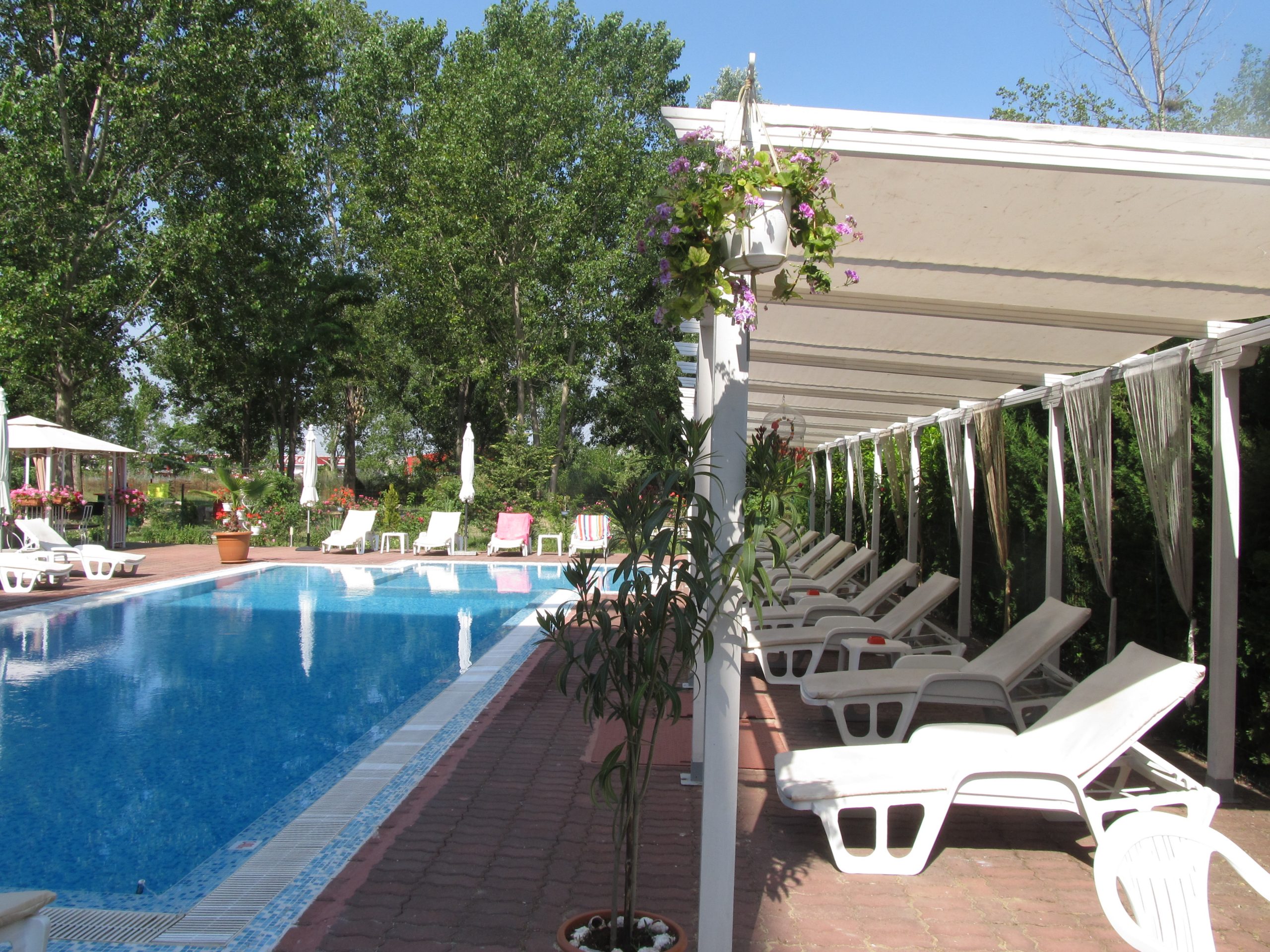 Piscine