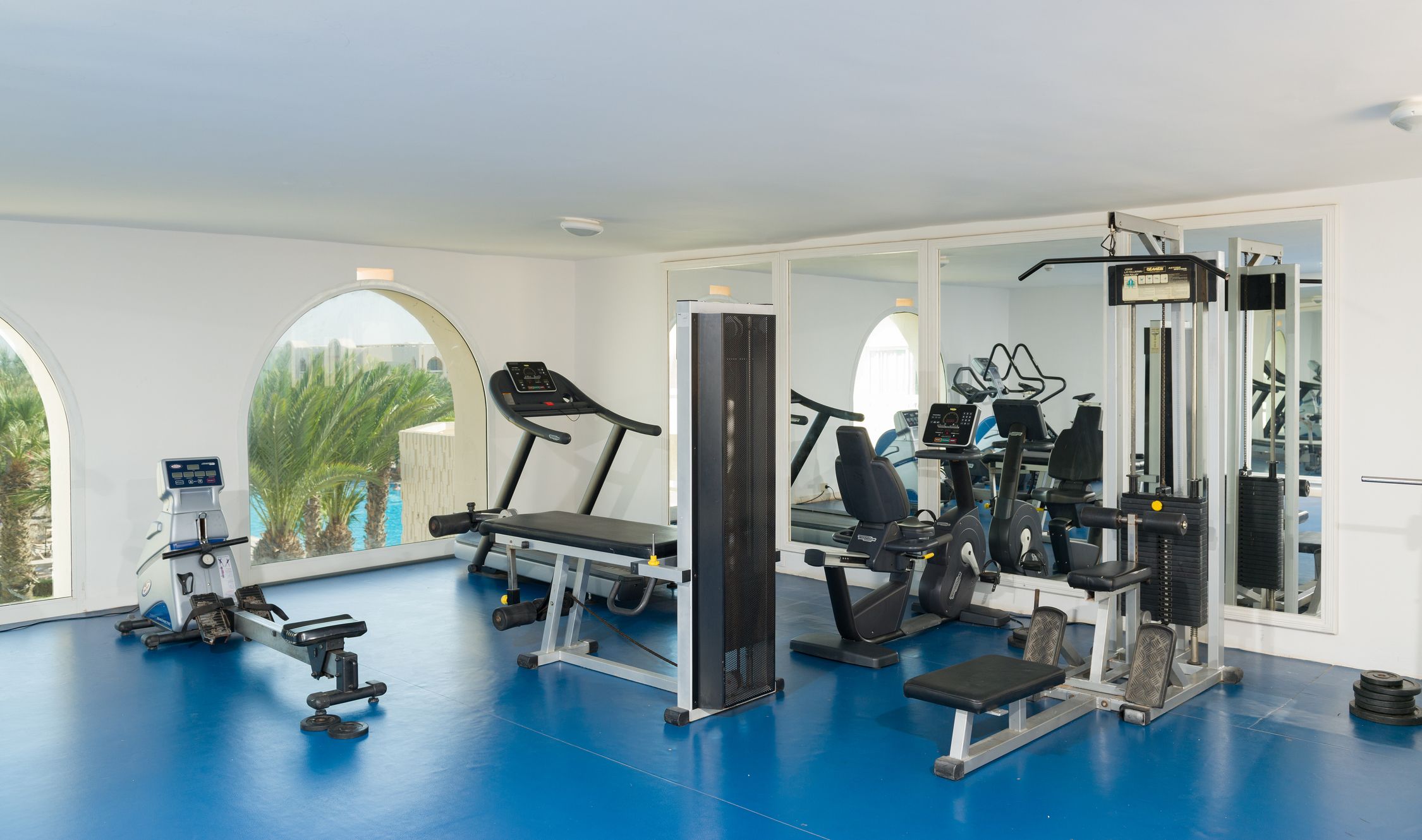 Sport