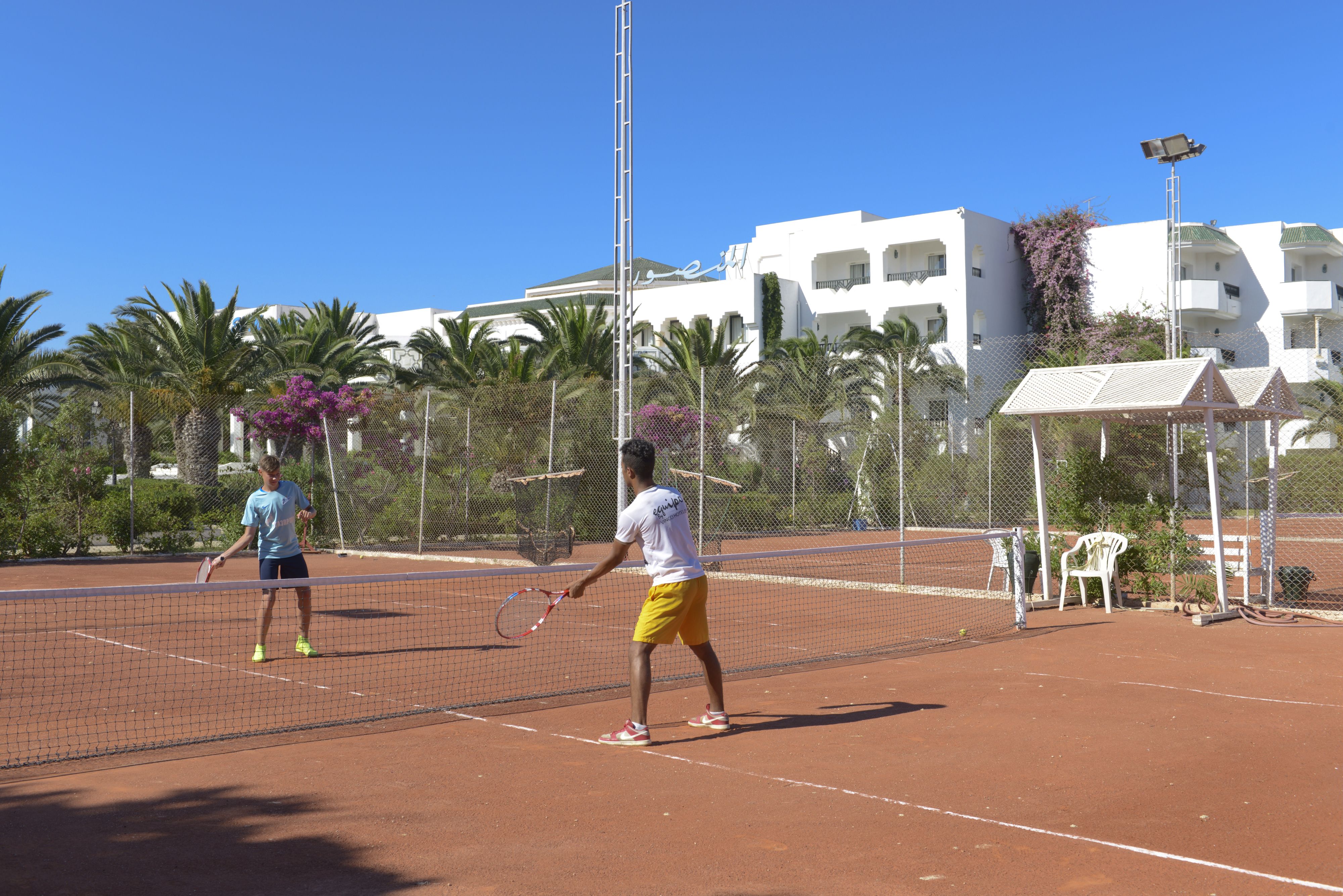 Sport