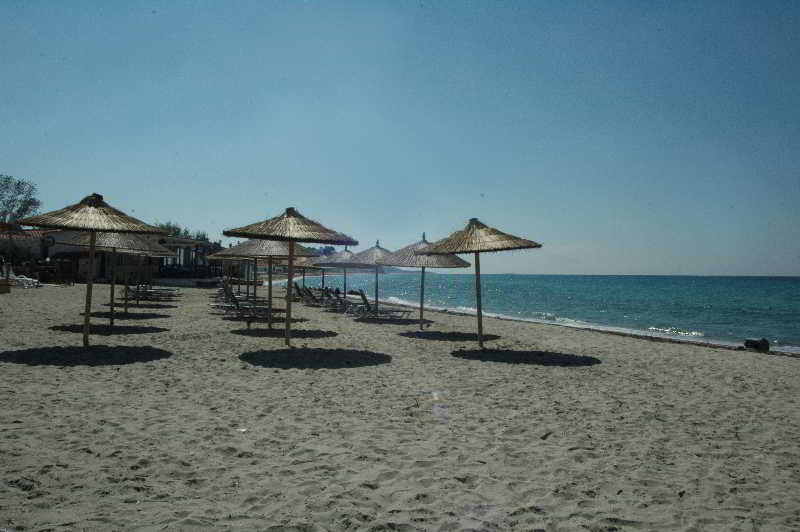 Plajă 
